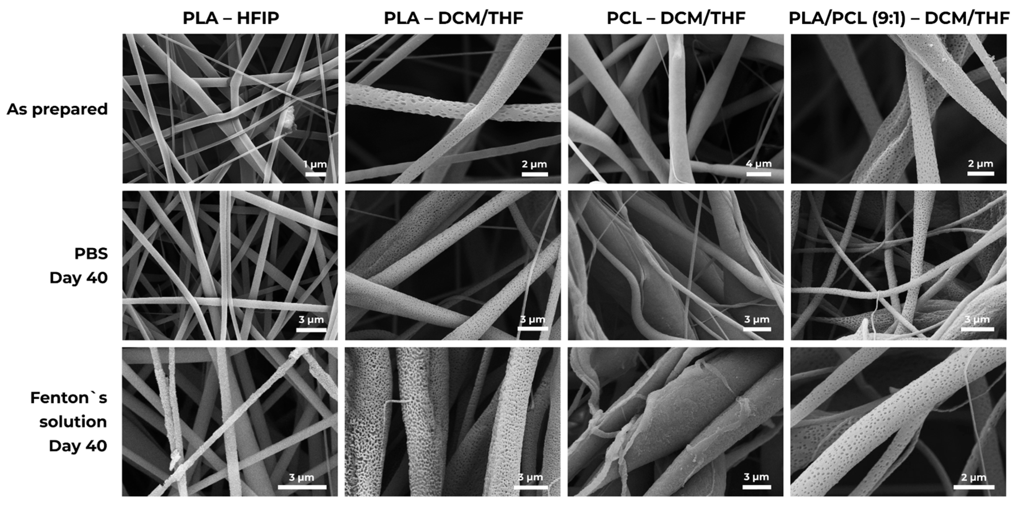 Polymers 18 00294 g006