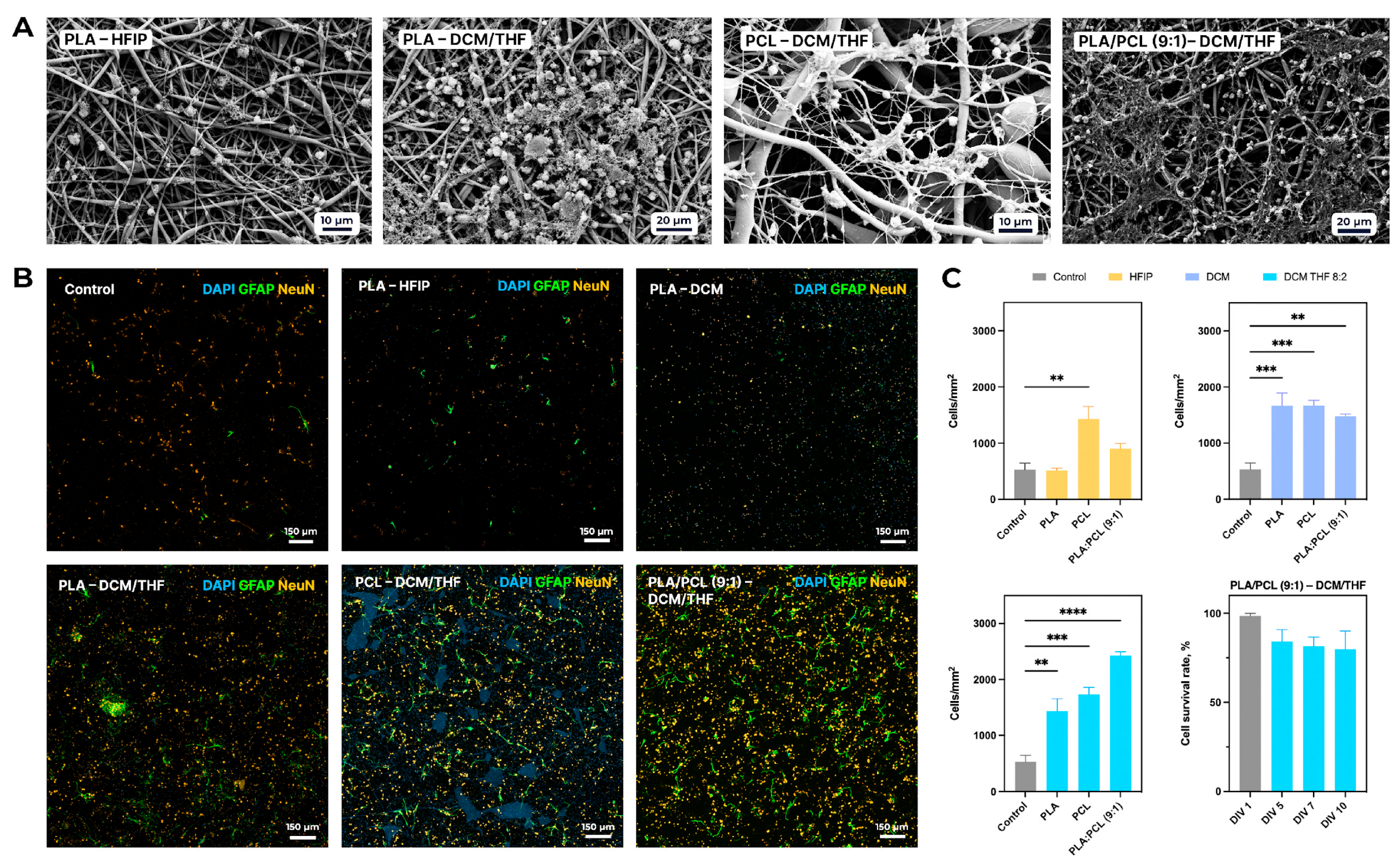 Polymers 18 00294 g008