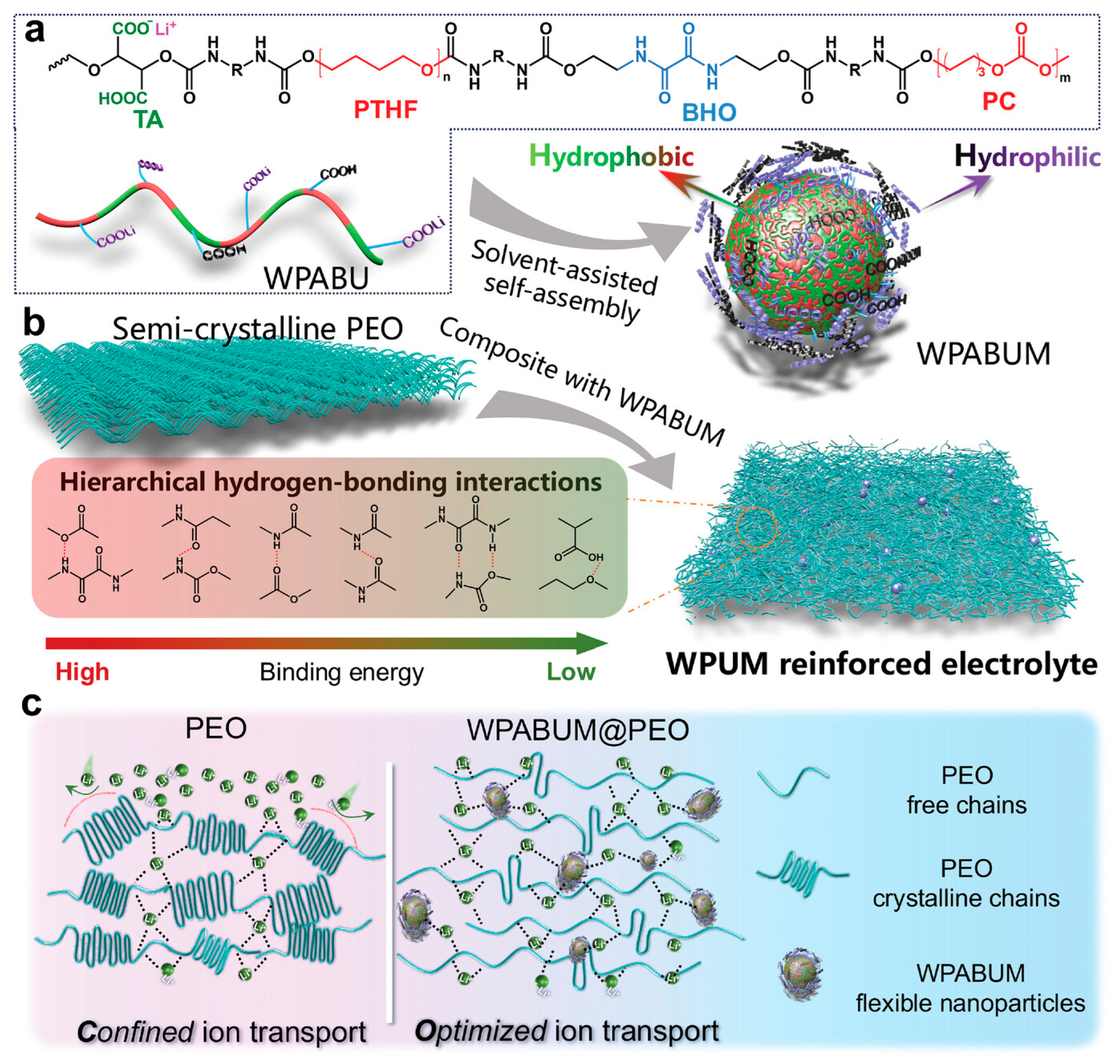 Polymers 18 00299 g010