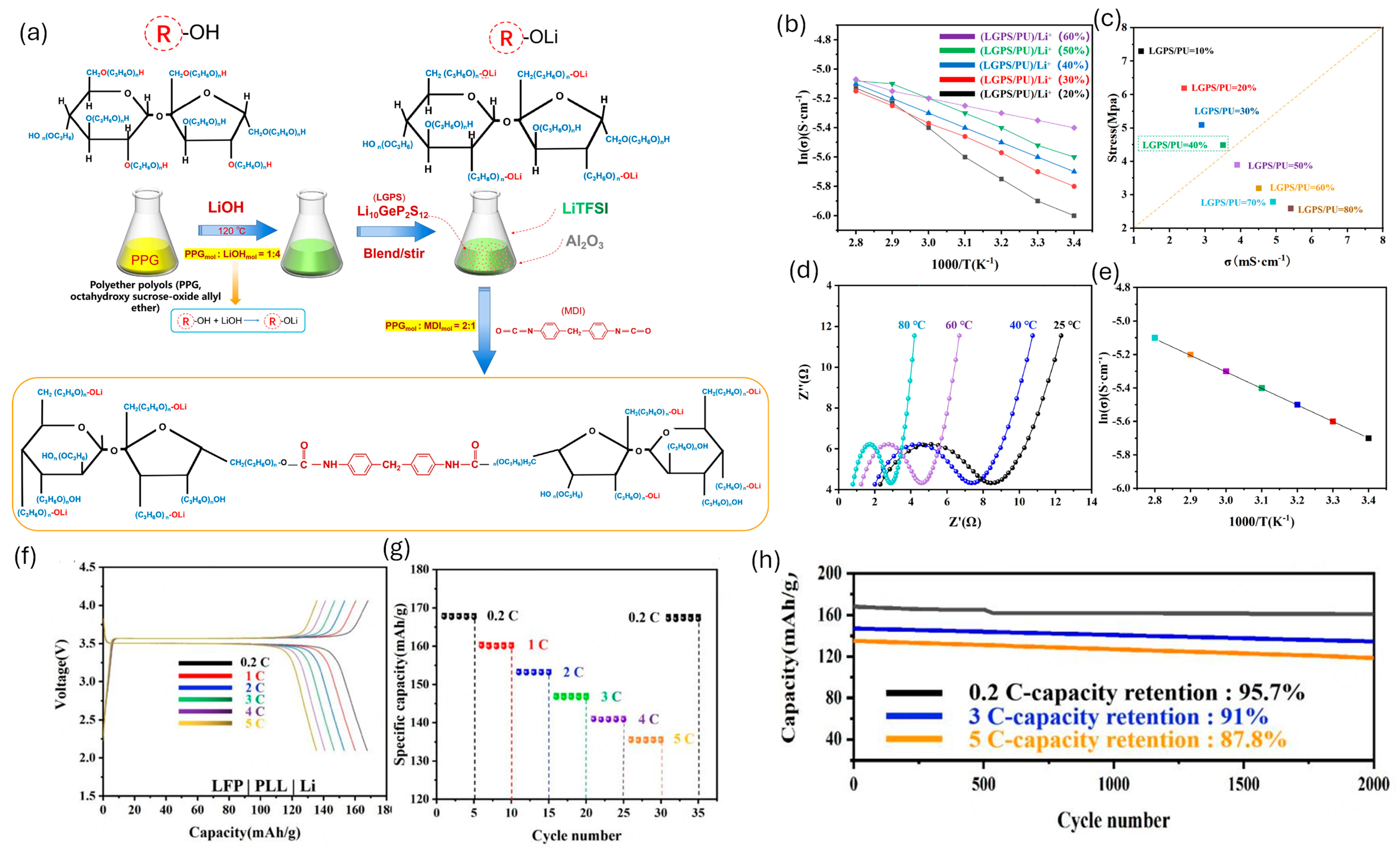Polymers 18 00299 g012