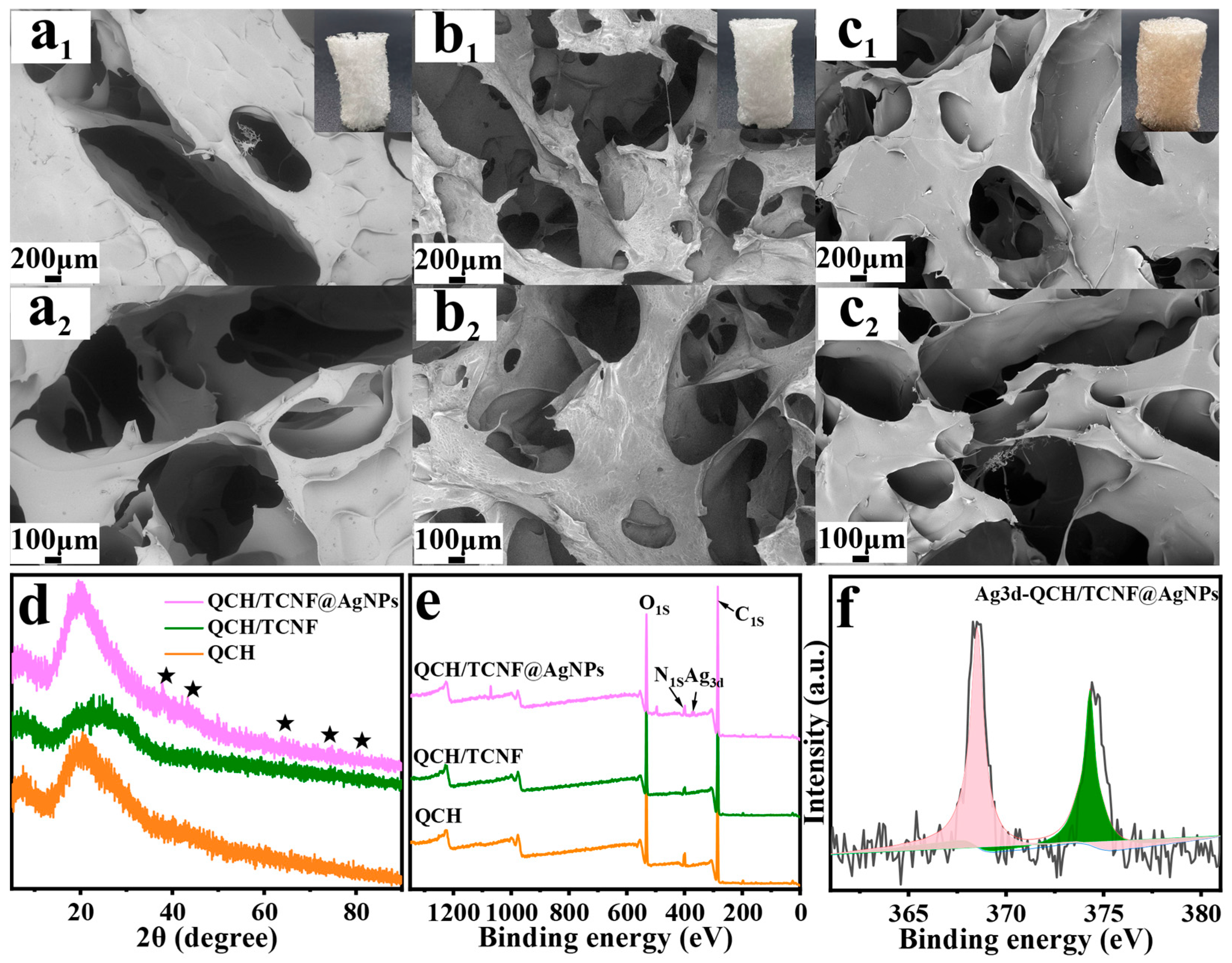 Polymers 18 00327 g002