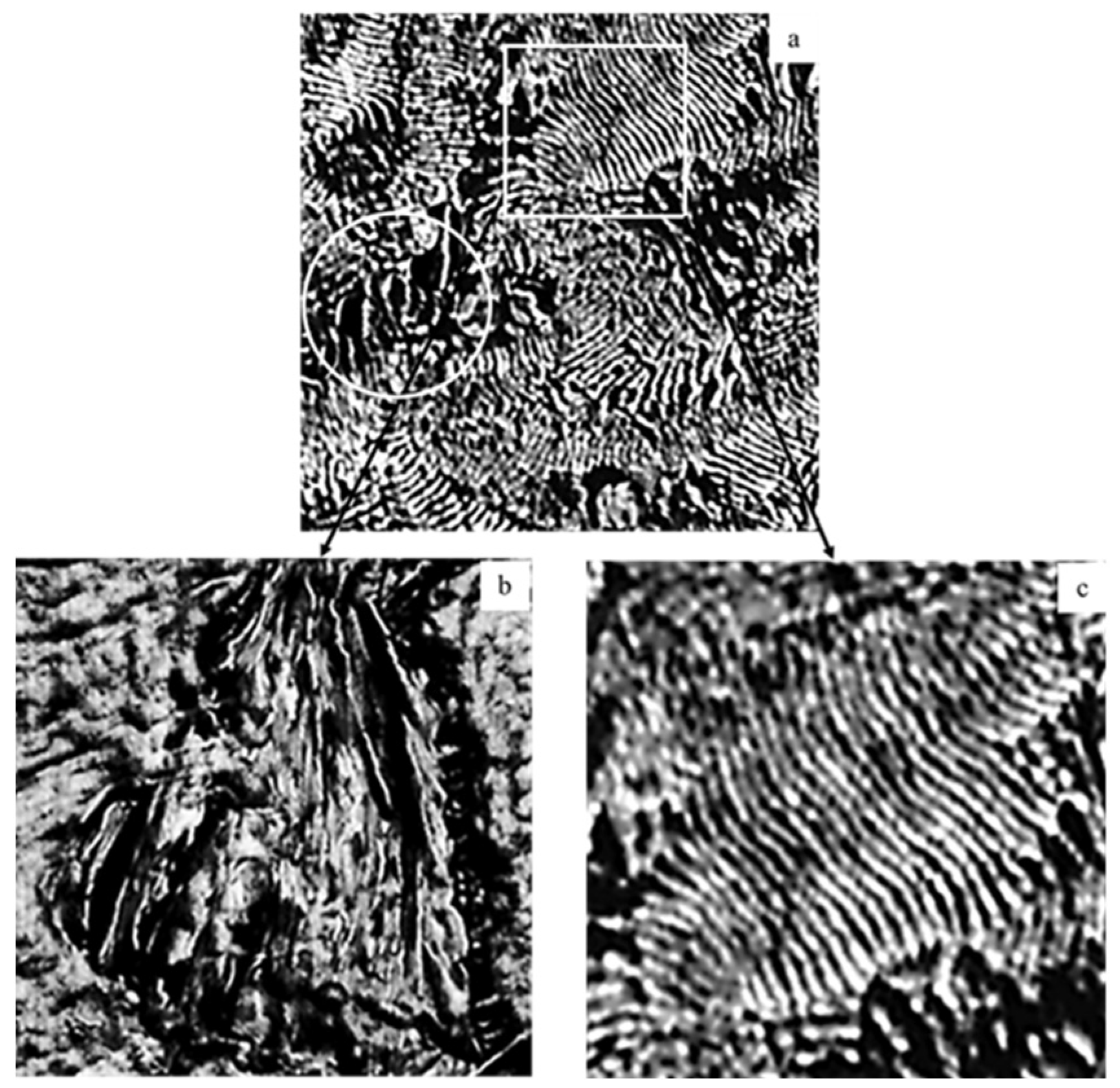 Polymers 18 00347 g001 Polymers 18 00347 g001