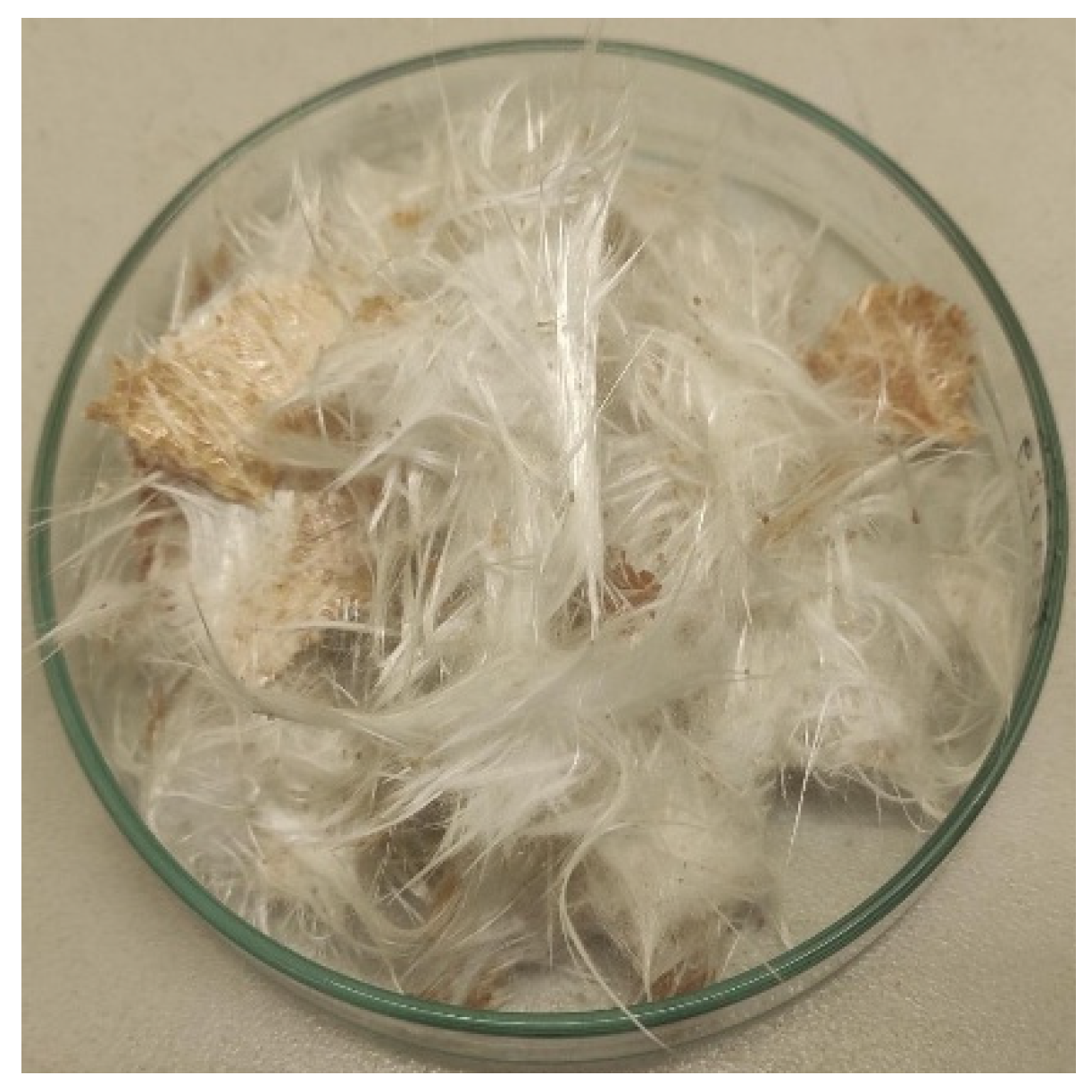 Polymers 18 00362 g011 Polymers 18 00362 g011