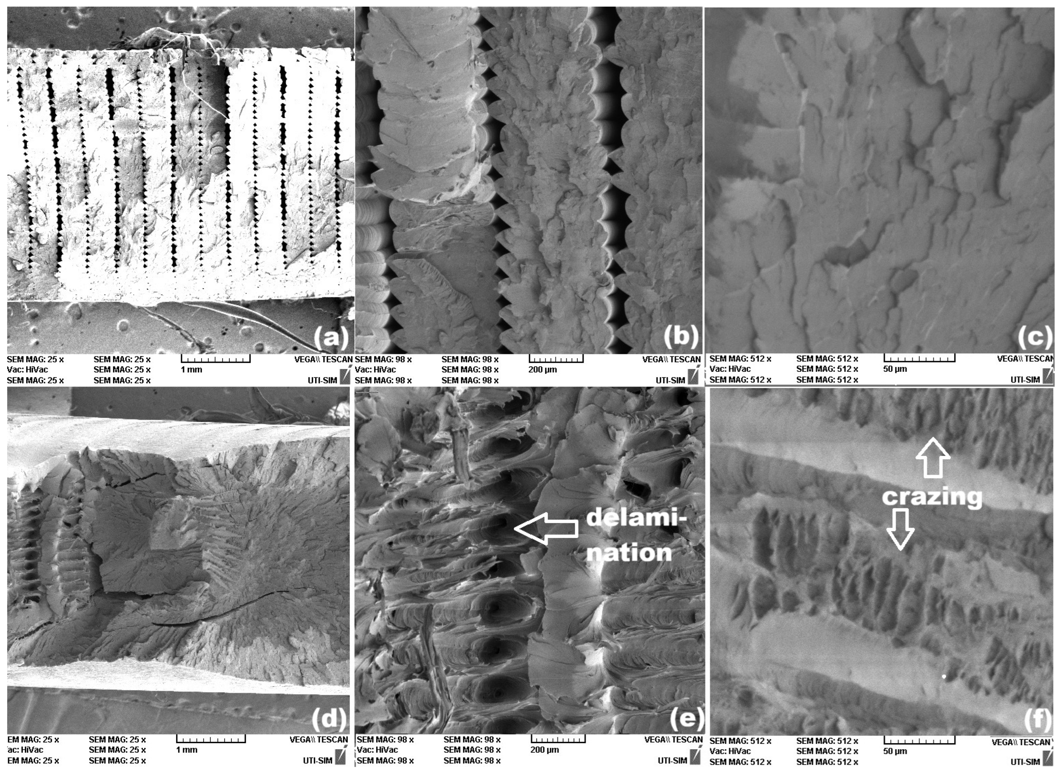 Polymers 18 00370 g007 Polymers 18 00370 g007