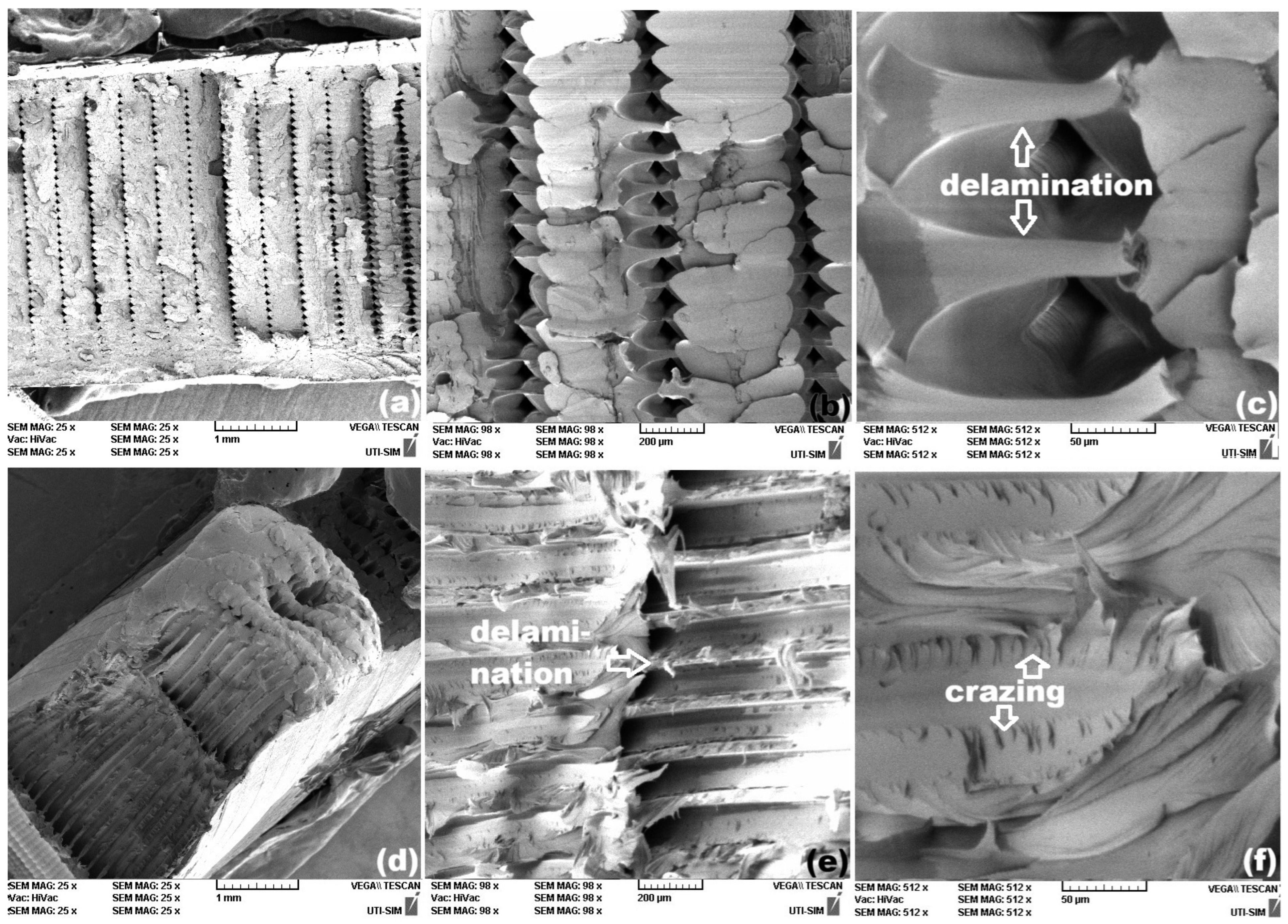 Polymers 18 00370 g008 Polymers 18 00370 g008