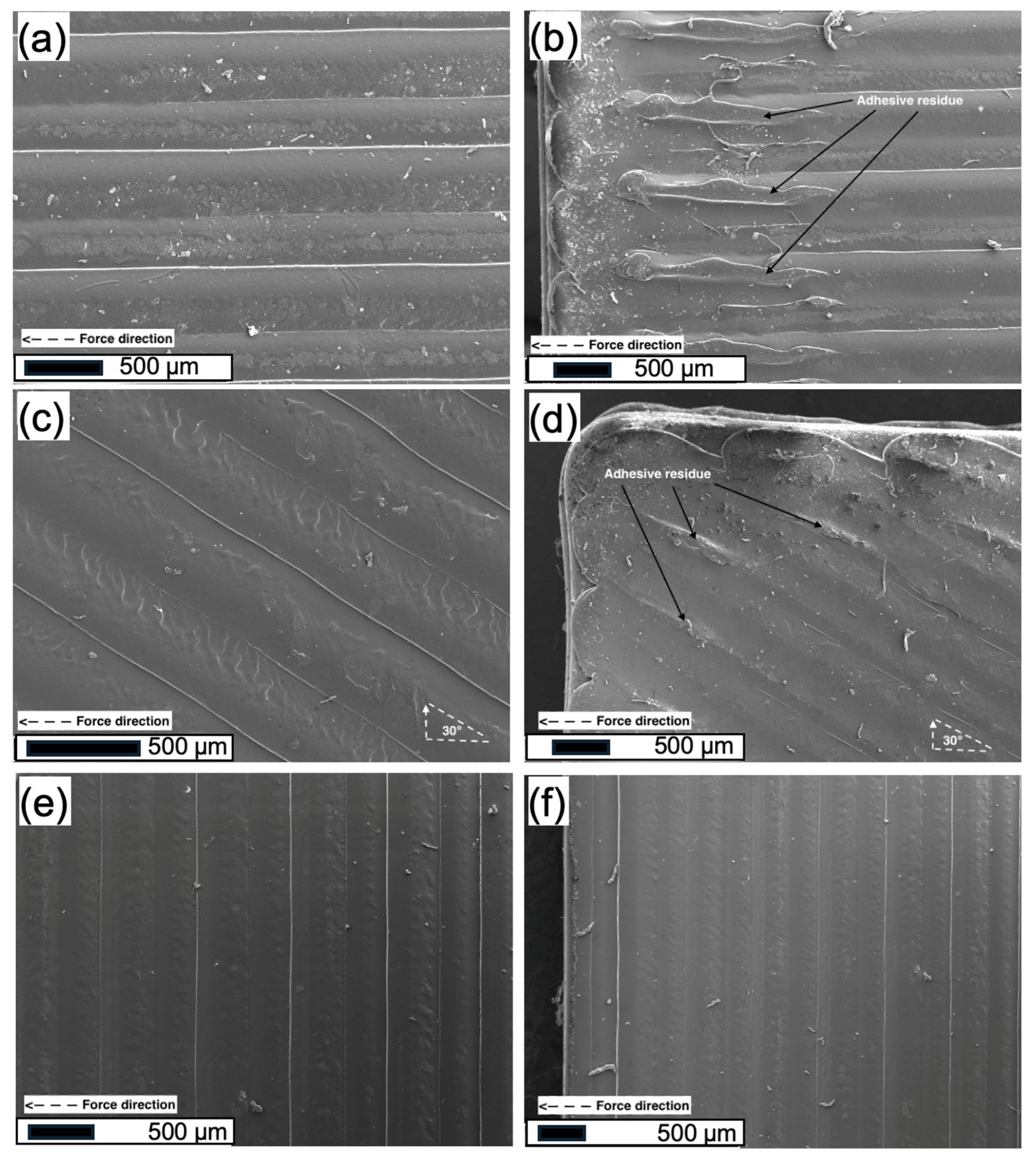 Polymers 18 00371 g007 Polymers 18 00371 g007