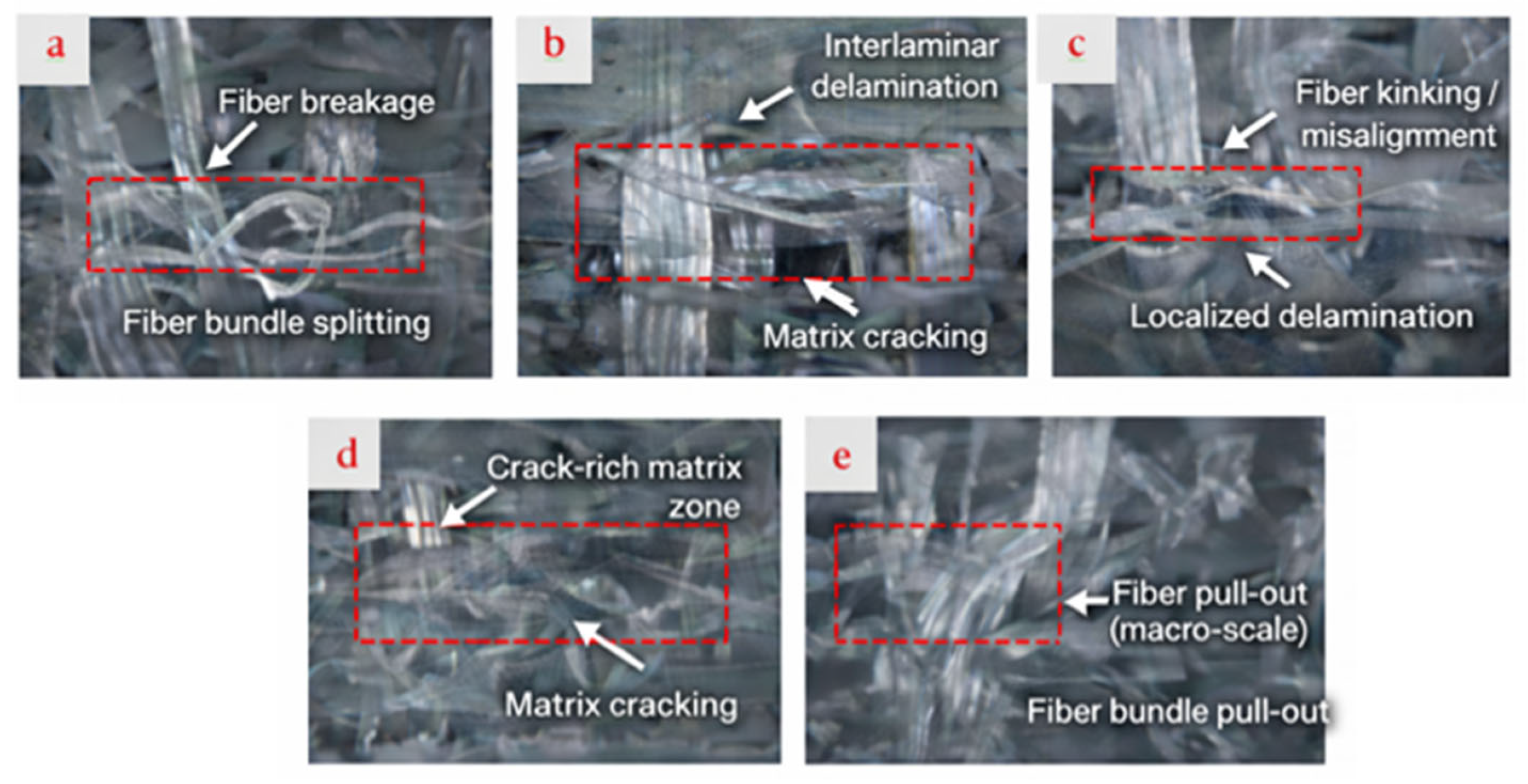 Polymers 18 00372 g007 Polymers 18 00372 g007