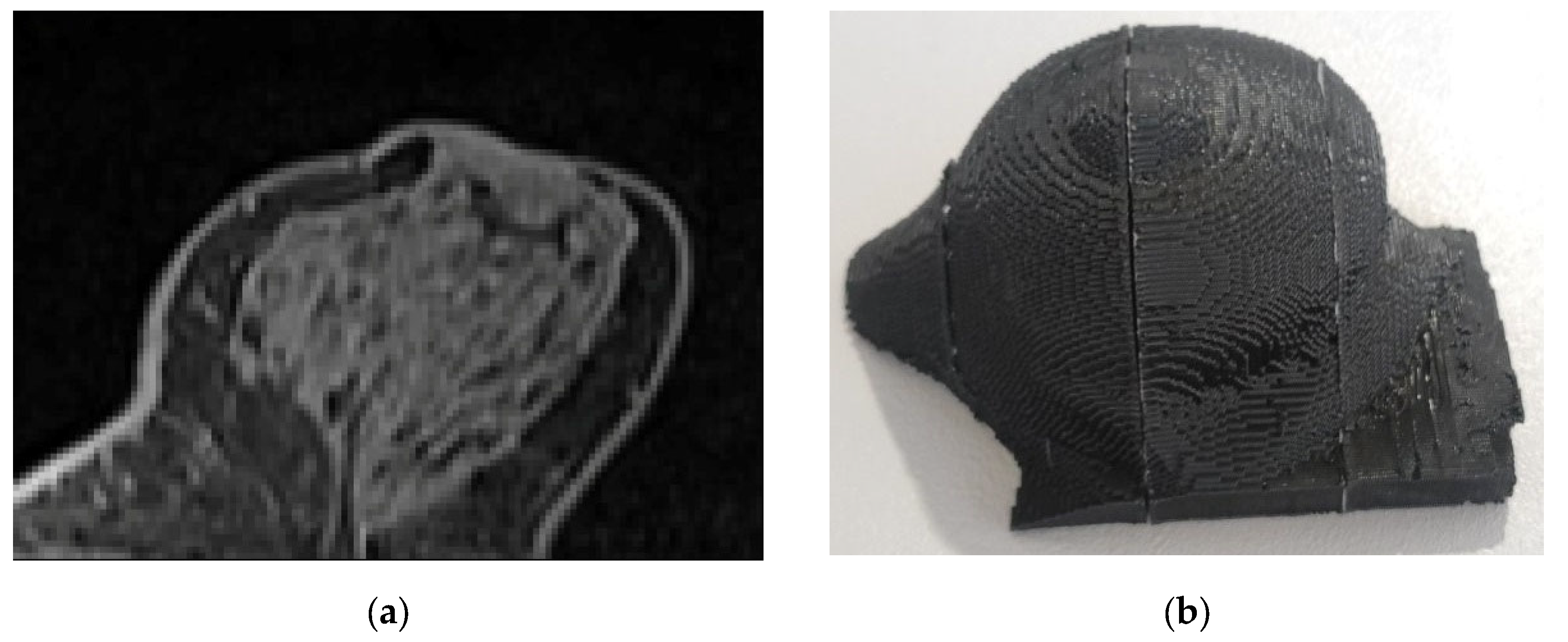 Polymers 18 00395 g008