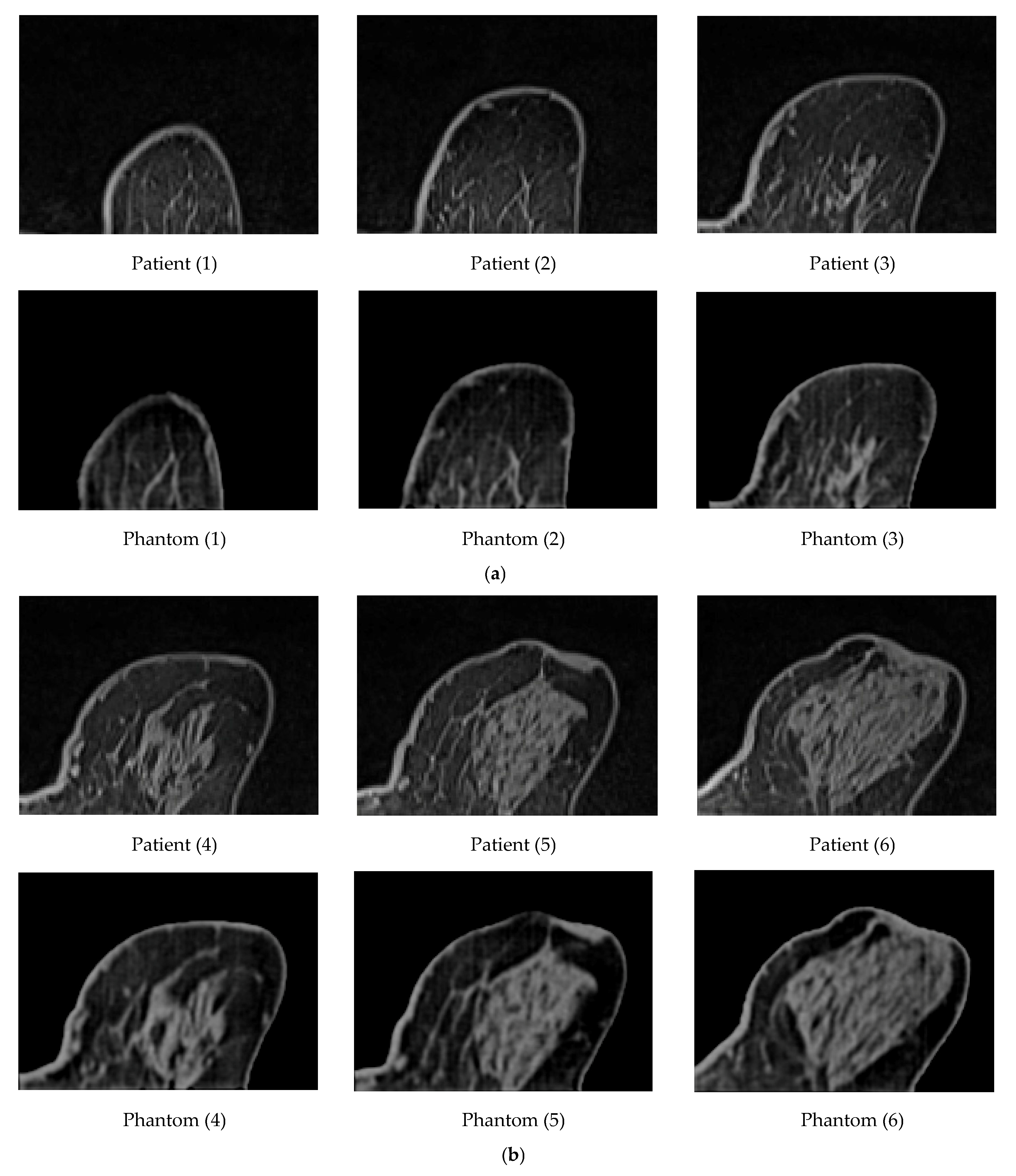 Polymers 18 00395 g009a