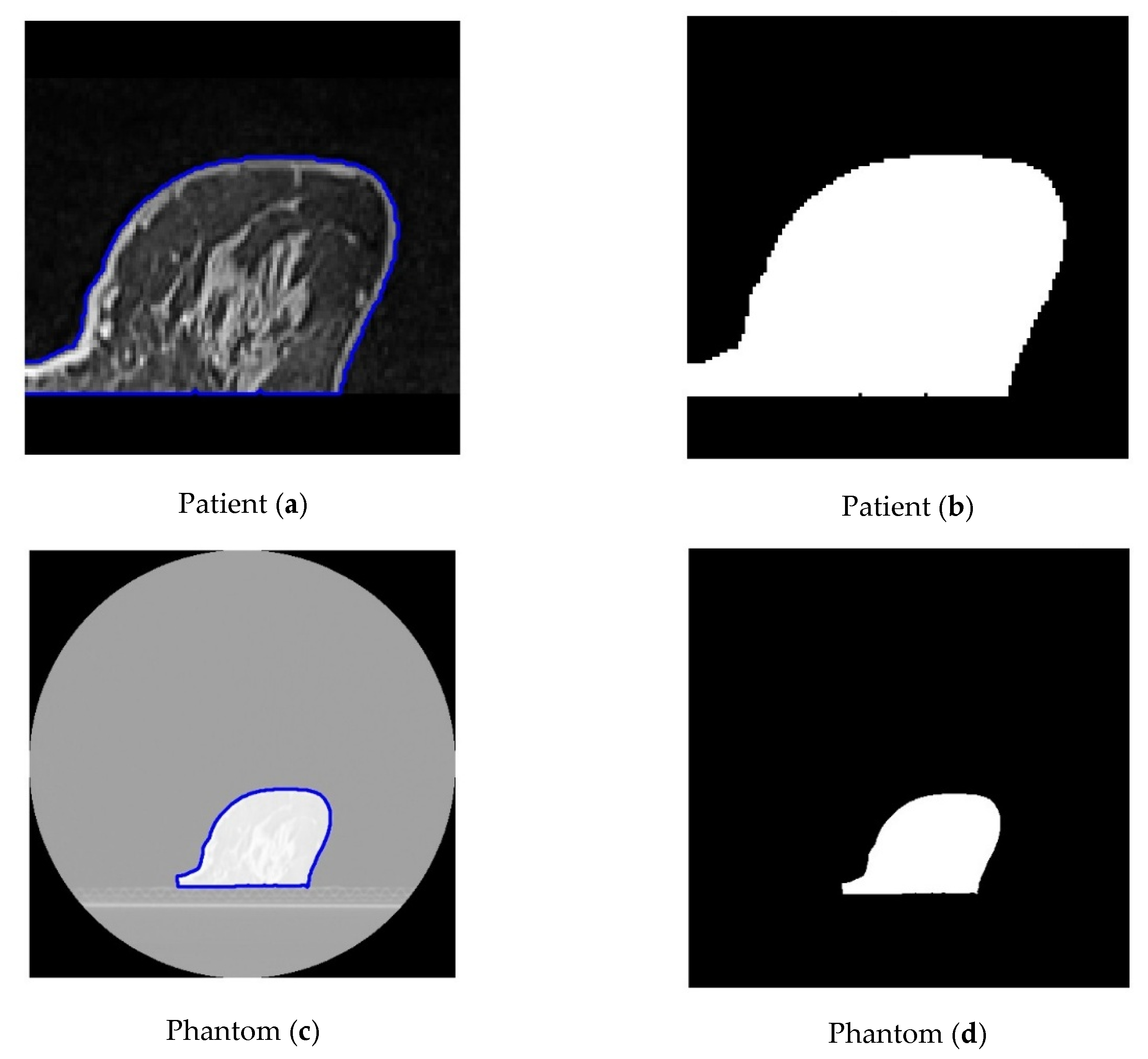 Polymers 18 00395 g010