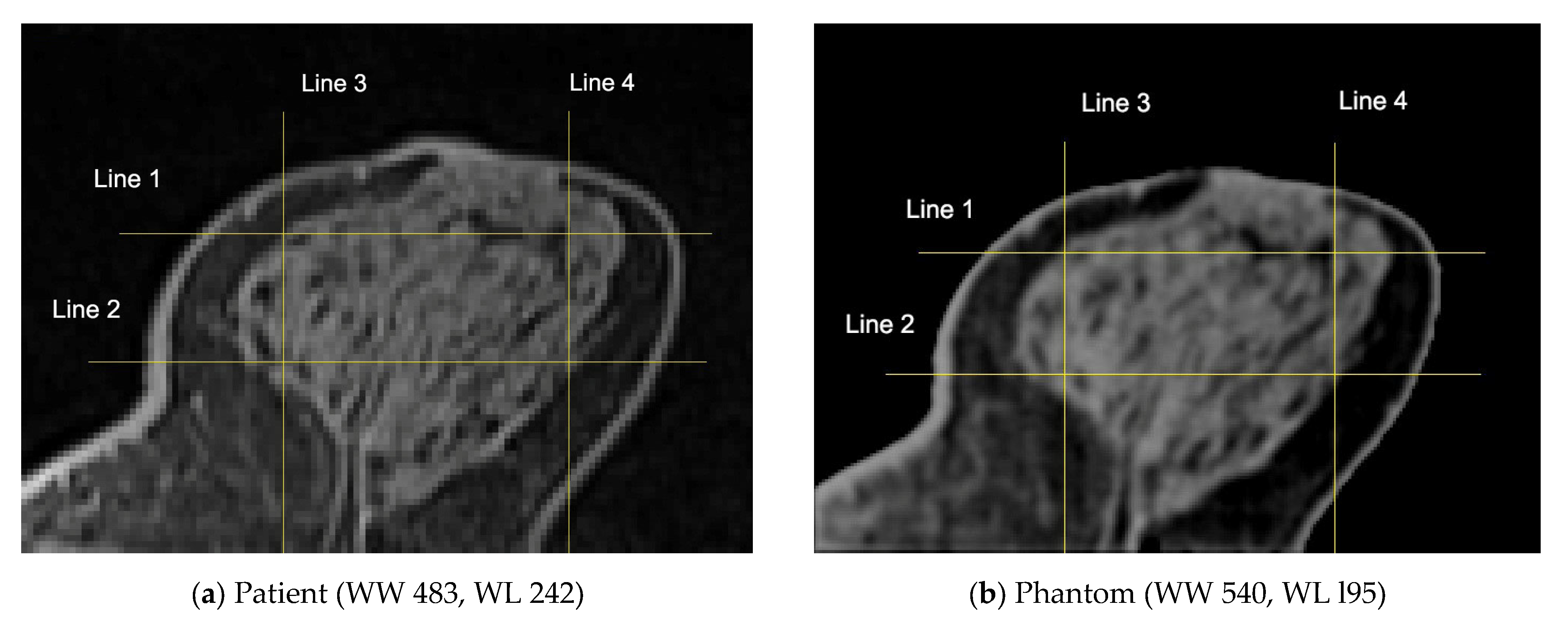 Polymers 18 00395 g012