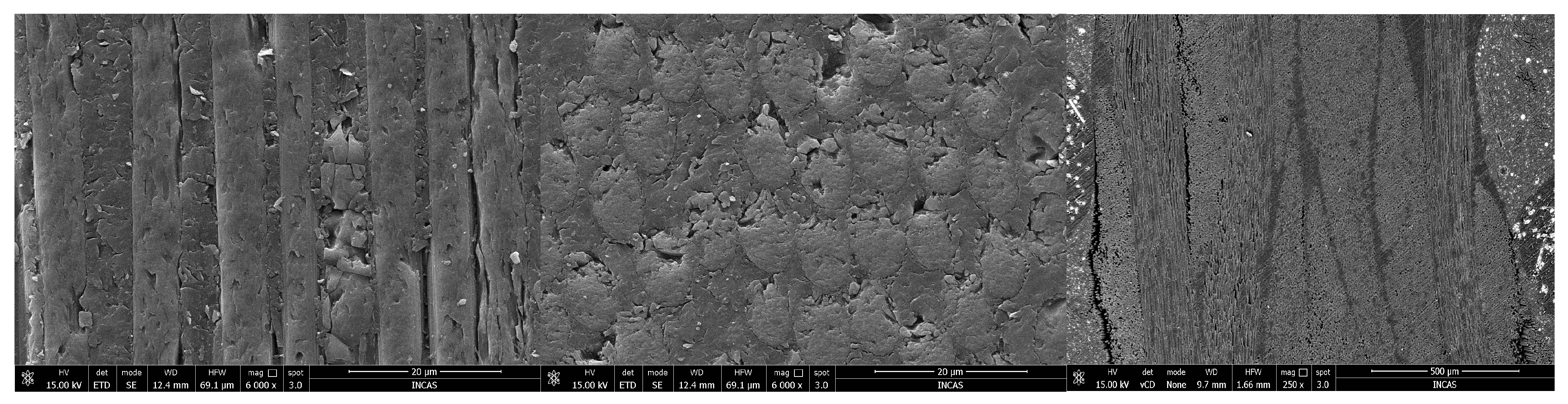 Polymers 18 00401 g004 Polymers 18 00401 g004