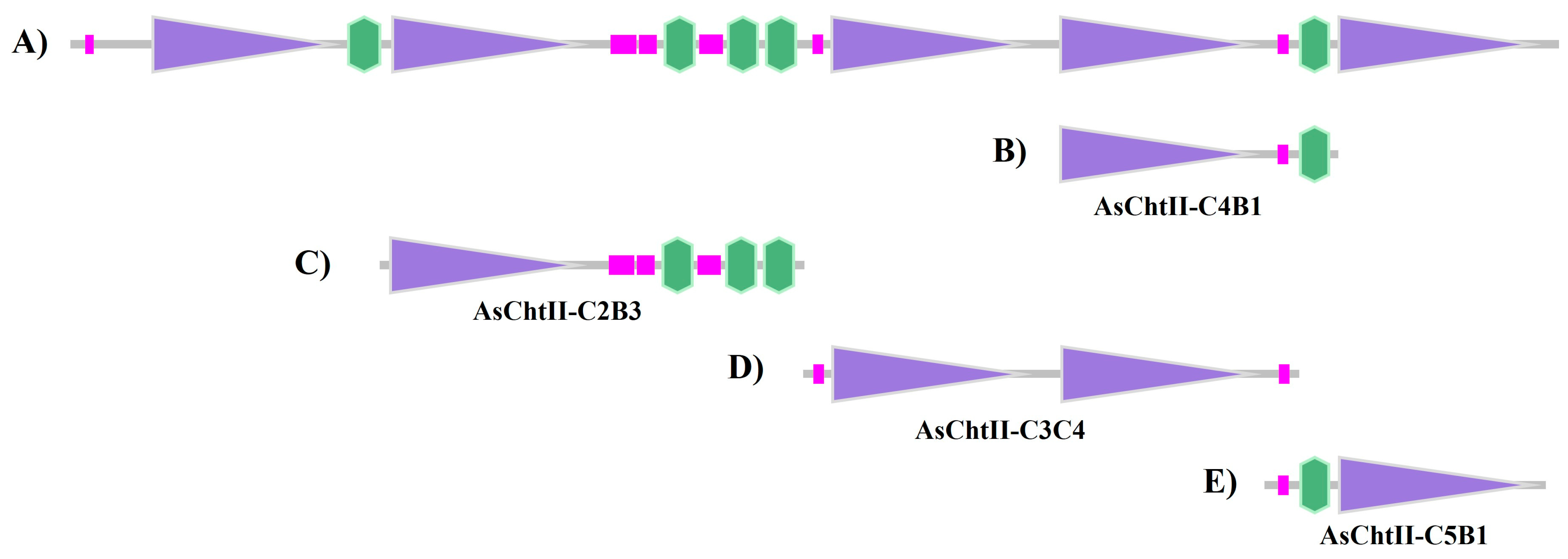 Polymers 18 00402 g001