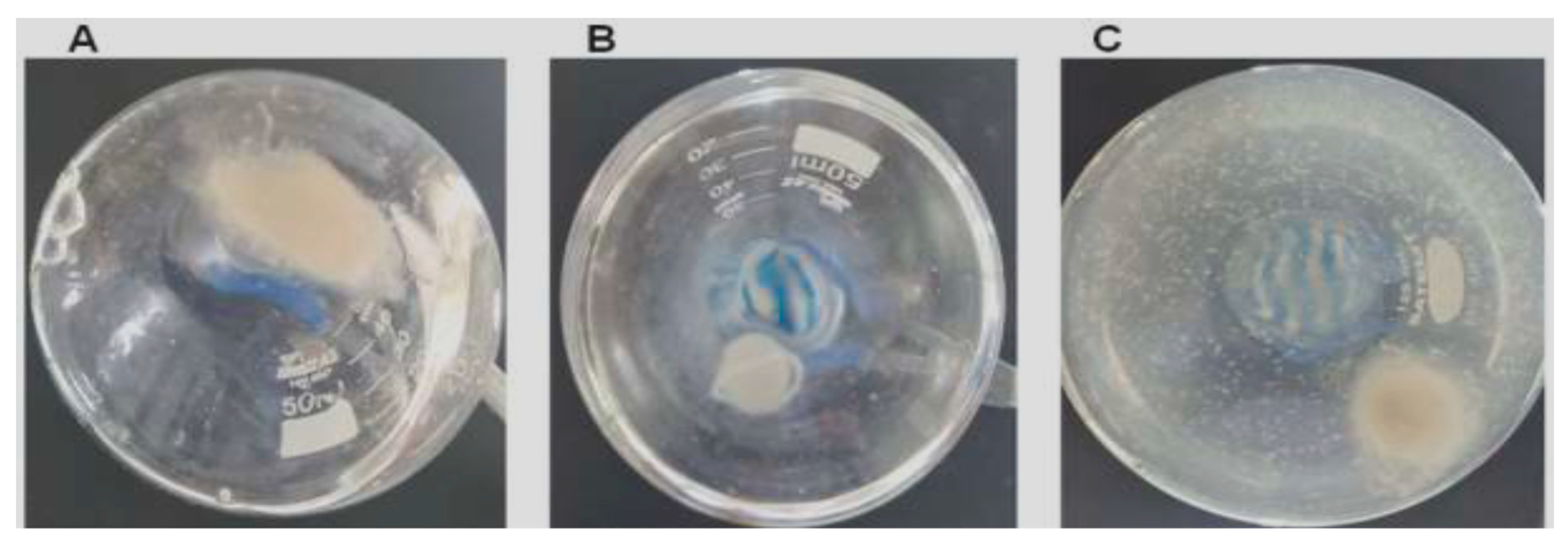 Polymers 18 00402 g006