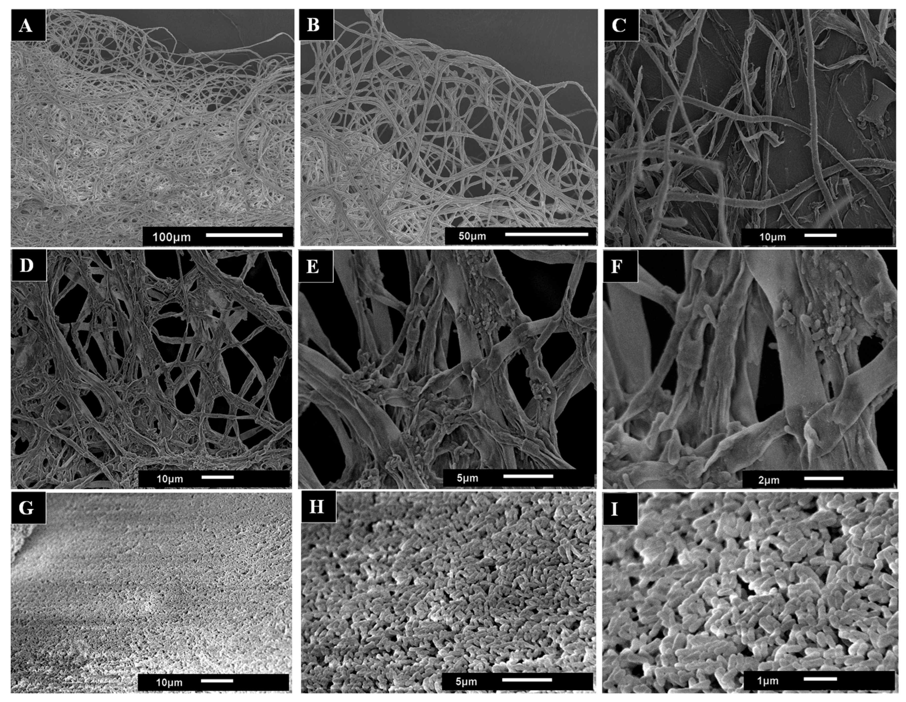Polymers 18 00402 g007