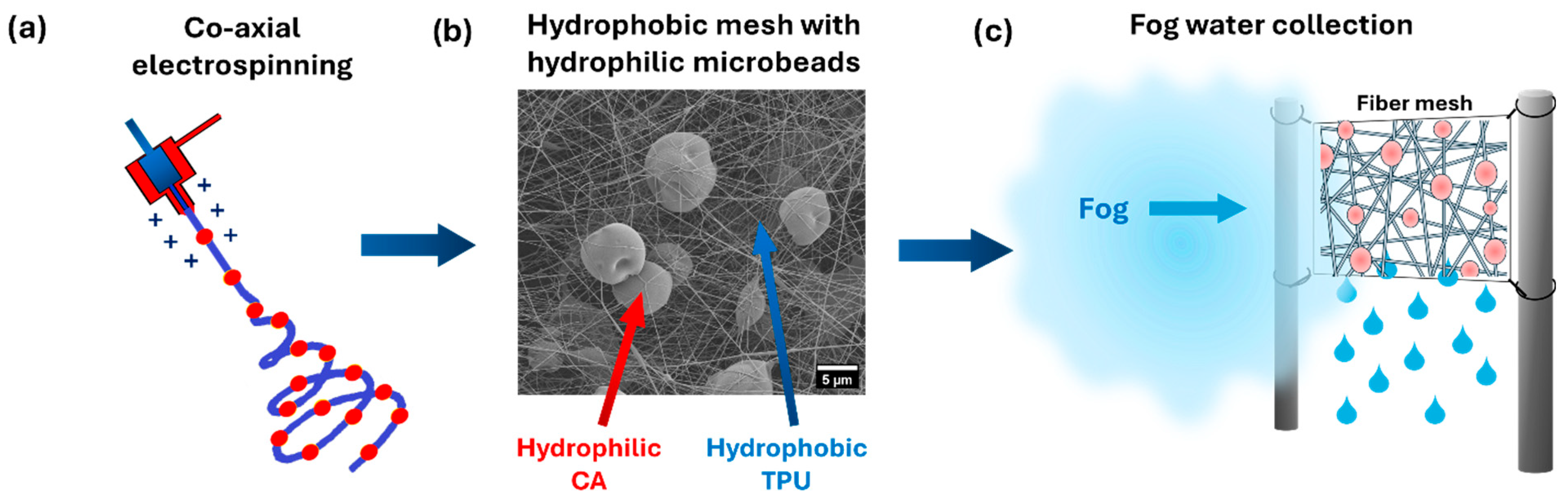 Polymers 18 00425 g001