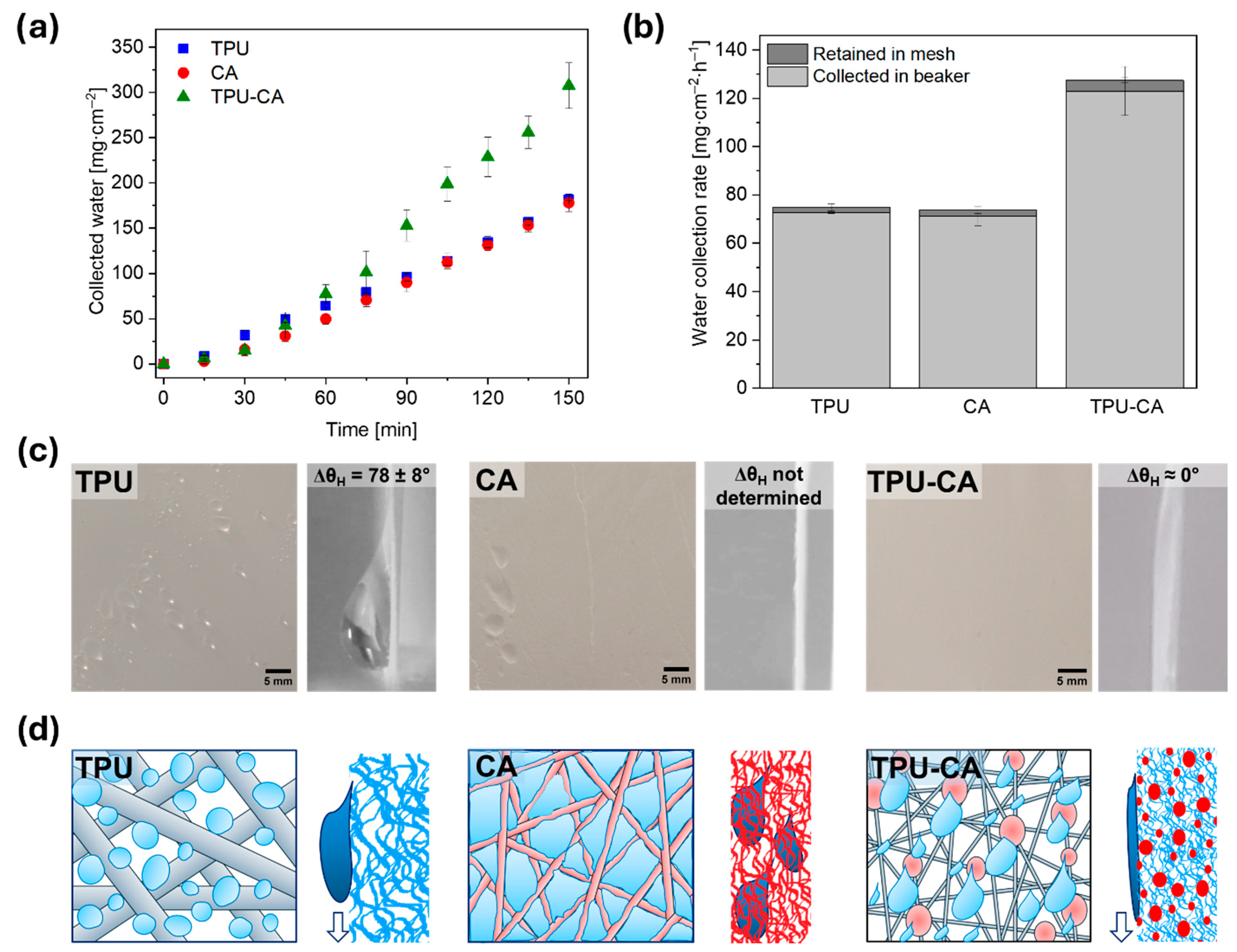 Polymers 18 00425 g003