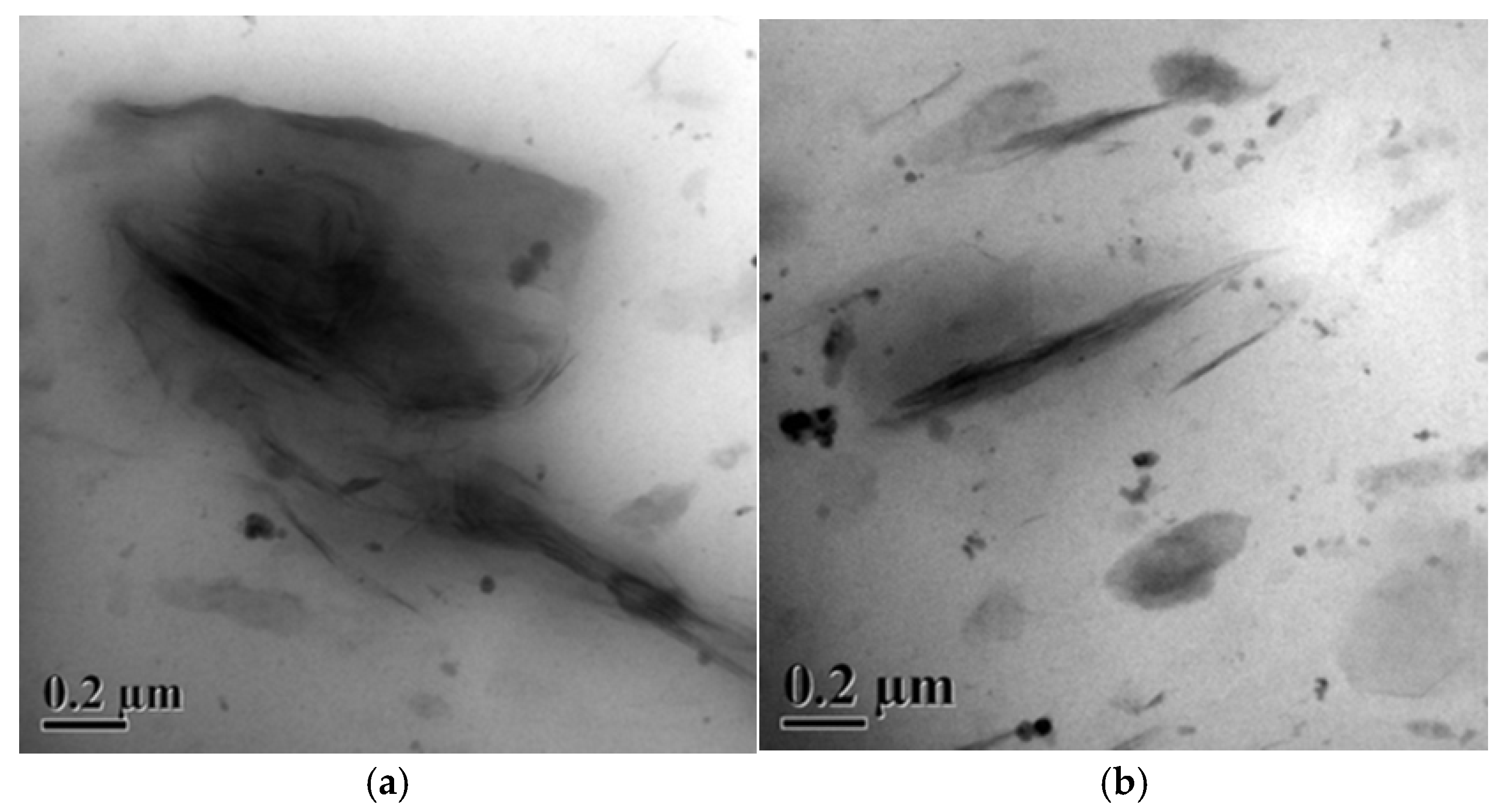 Polymers 18 00427 g013a