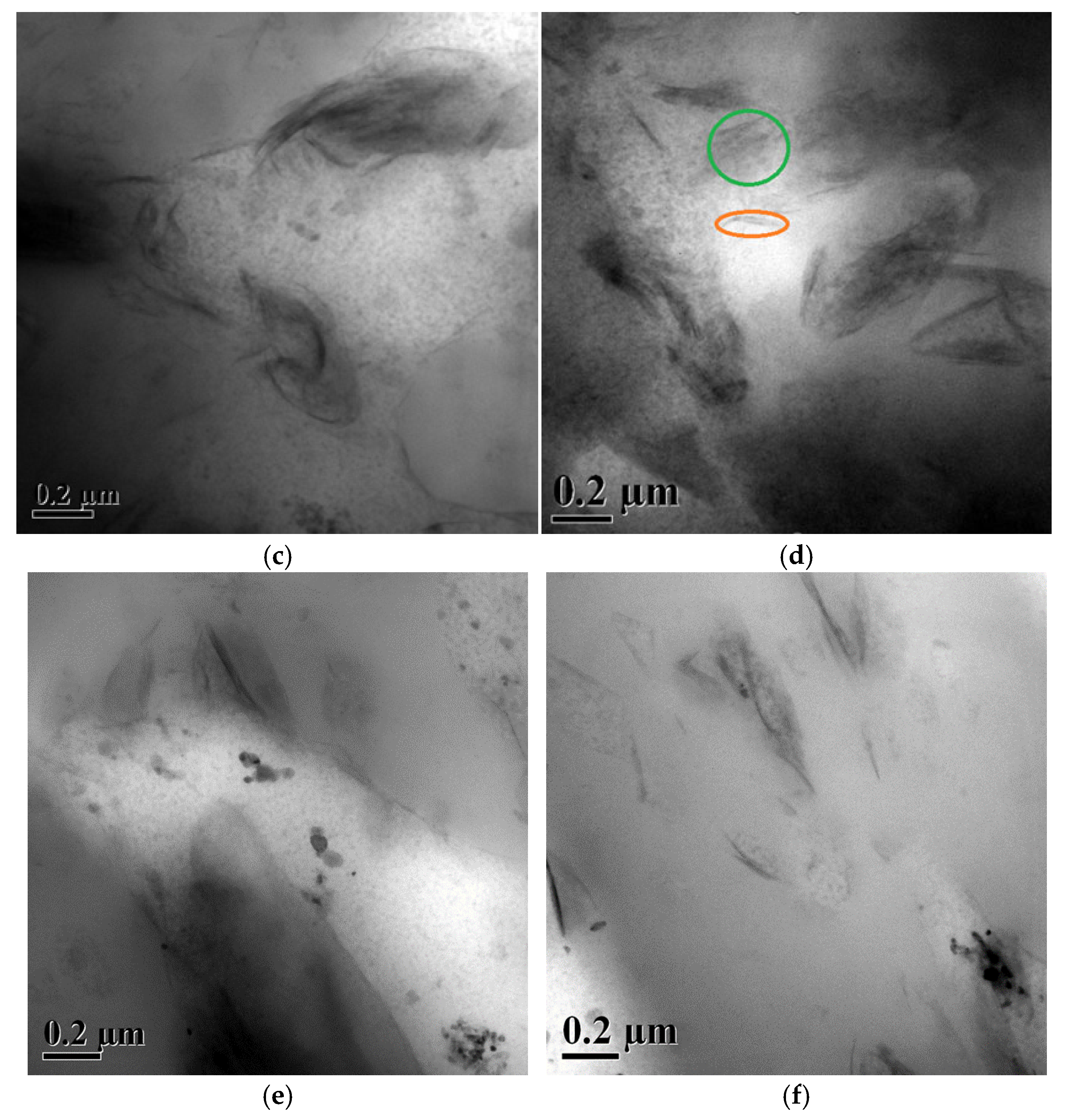 Polymers 18 00427 g013b