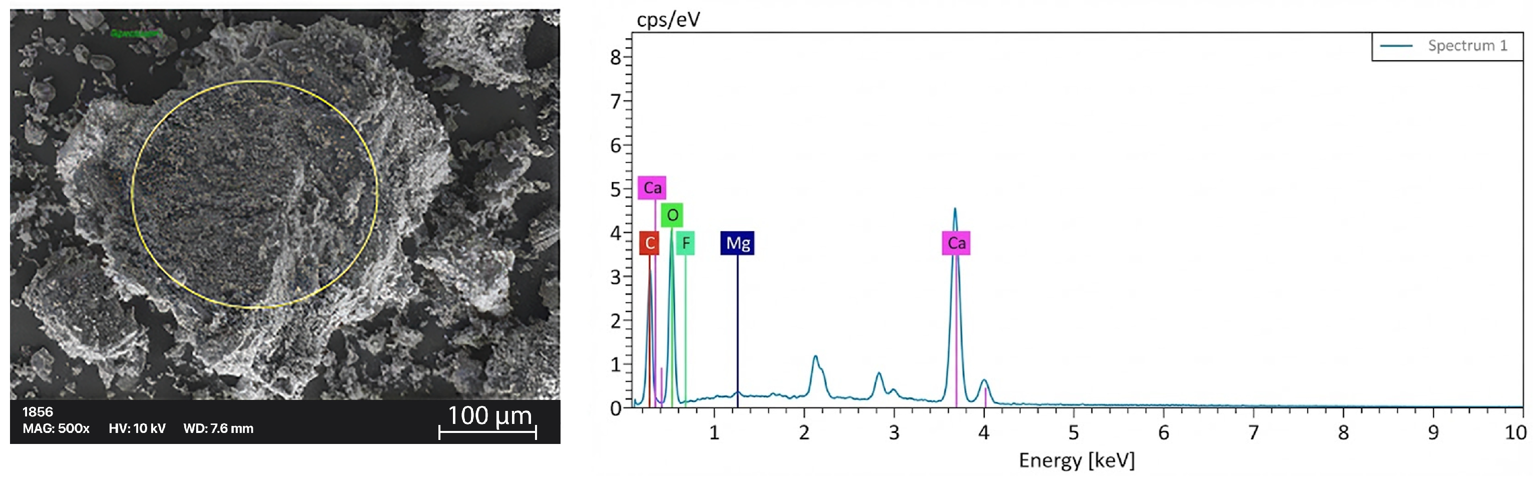 Polymers 18 00431 g003
