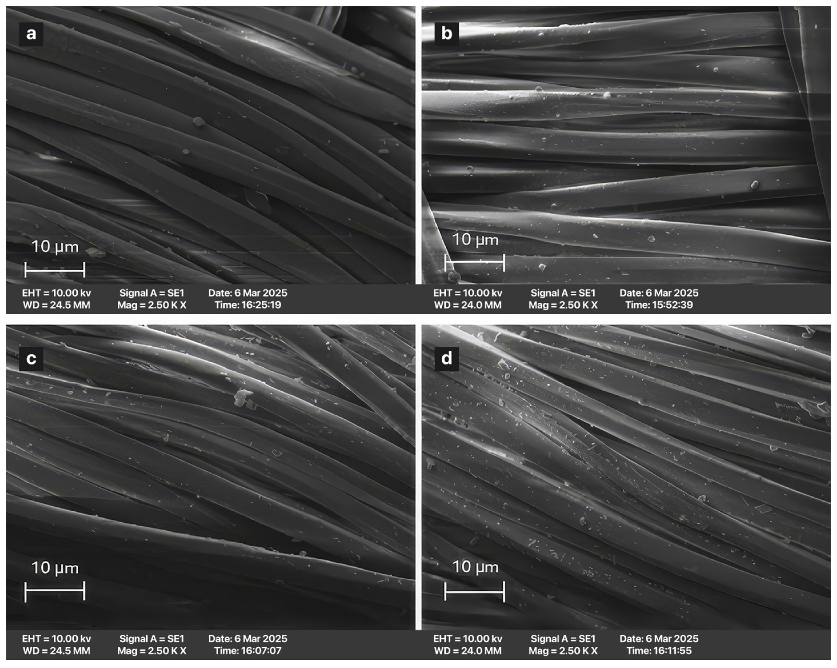 Polymers 18 00431 g004