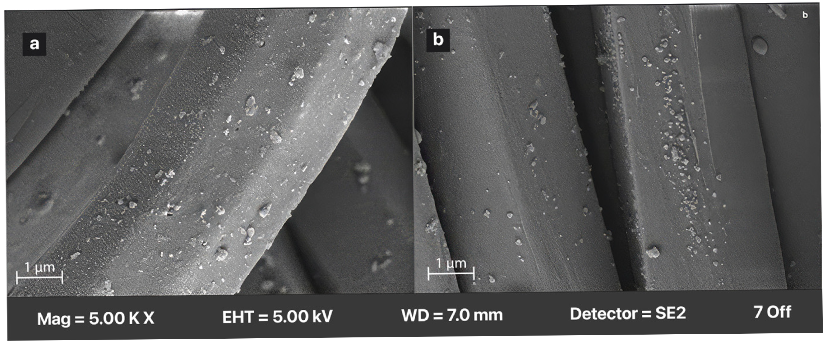 Polymers 18 00431 g005