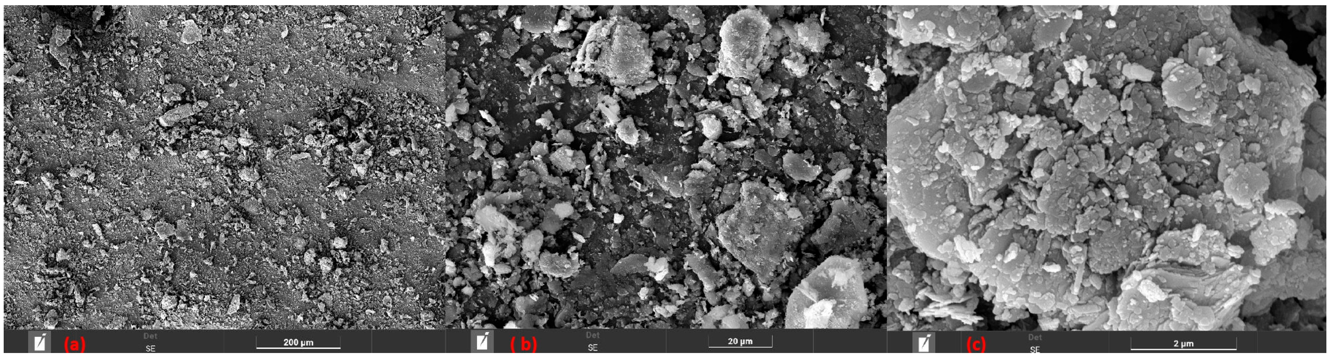 Polymers 18 00445 g002 Polymers 18 00445 g002