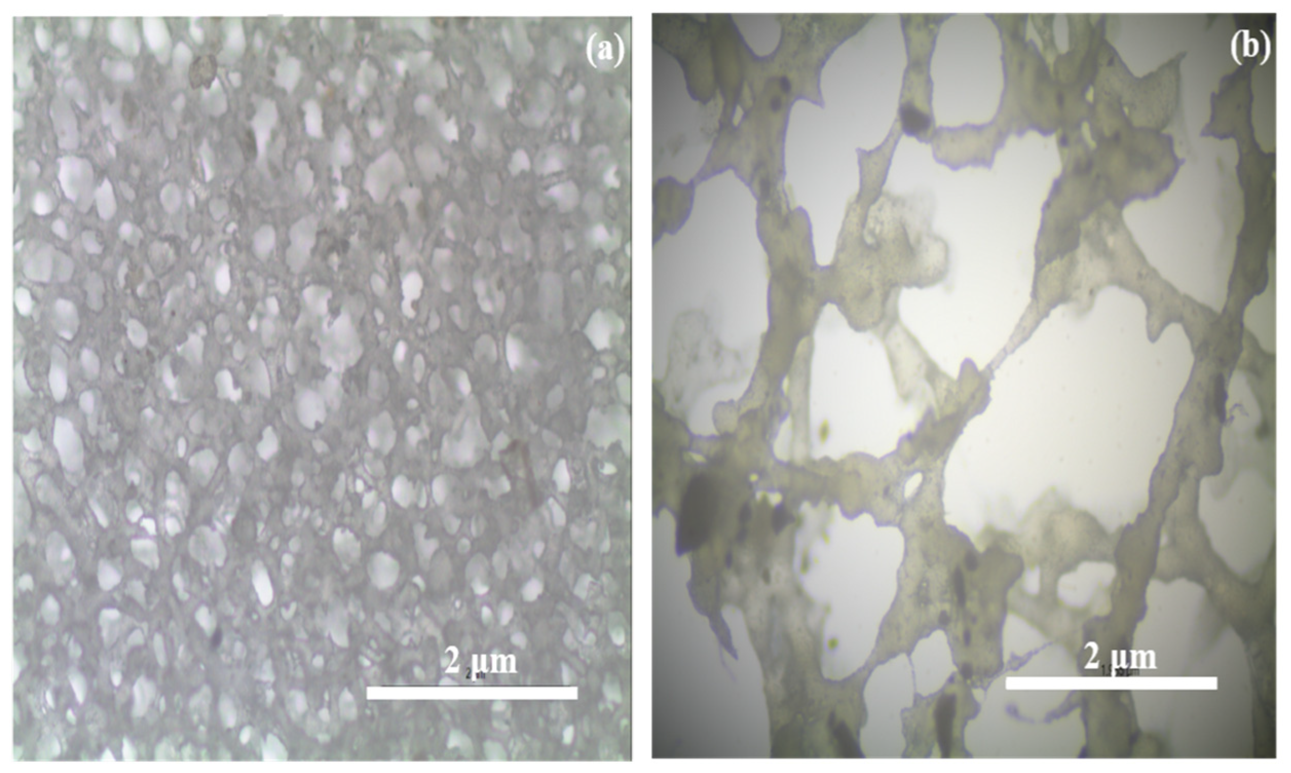 Polymers 18 00485 g004 Polymers 18 00485 g004
