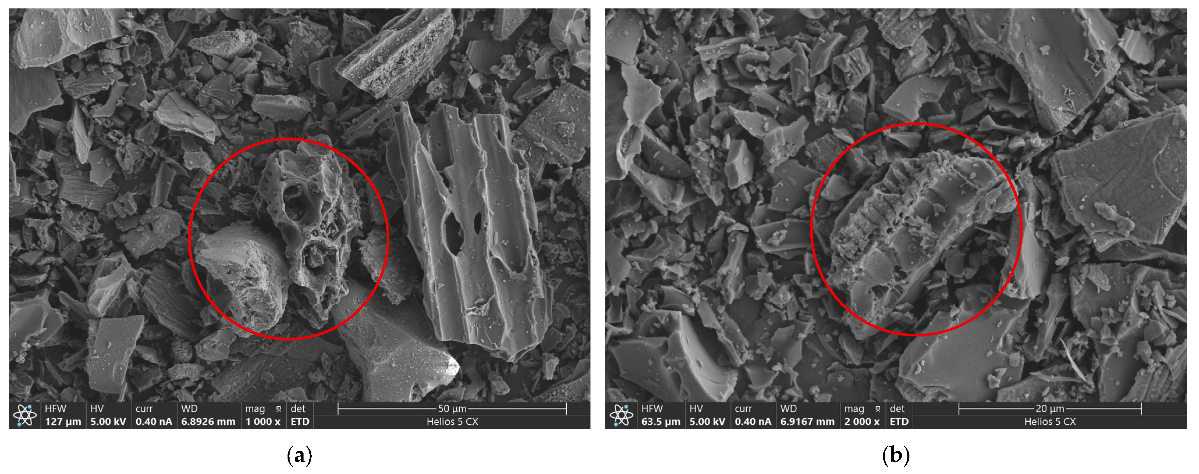Polymers 18 00495 g010 Polymers 18 00495 g010