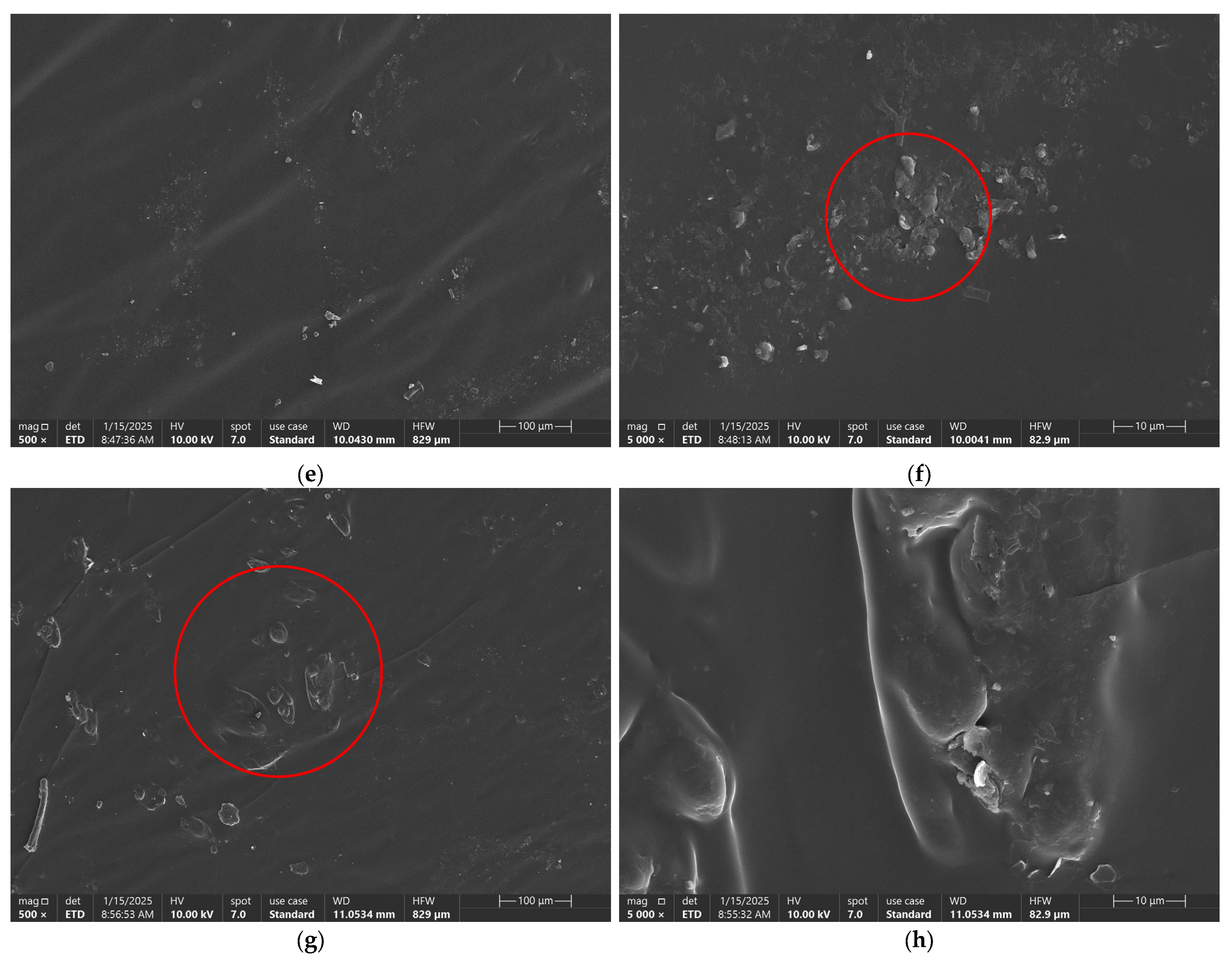 Polymers 18 00495 g011b Polymers 18 00495 g011b