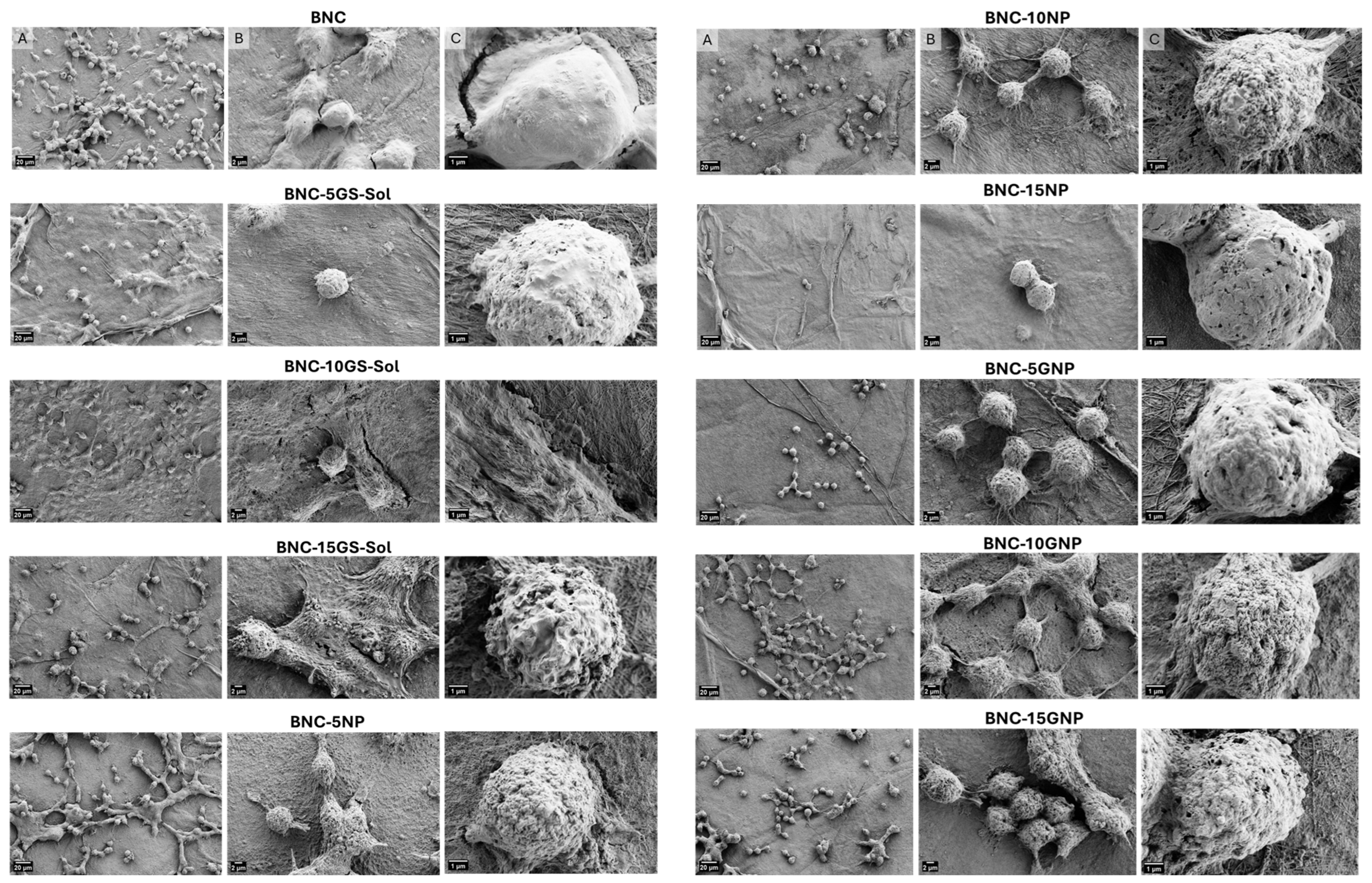 Polymers 18 00510 g007