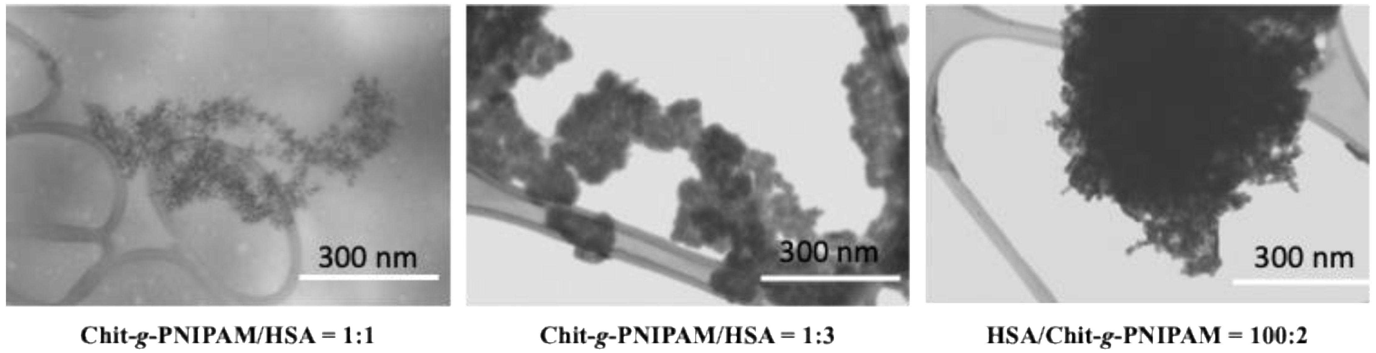 Polymers 18 00515 g008 Polymers 18 00515 g008