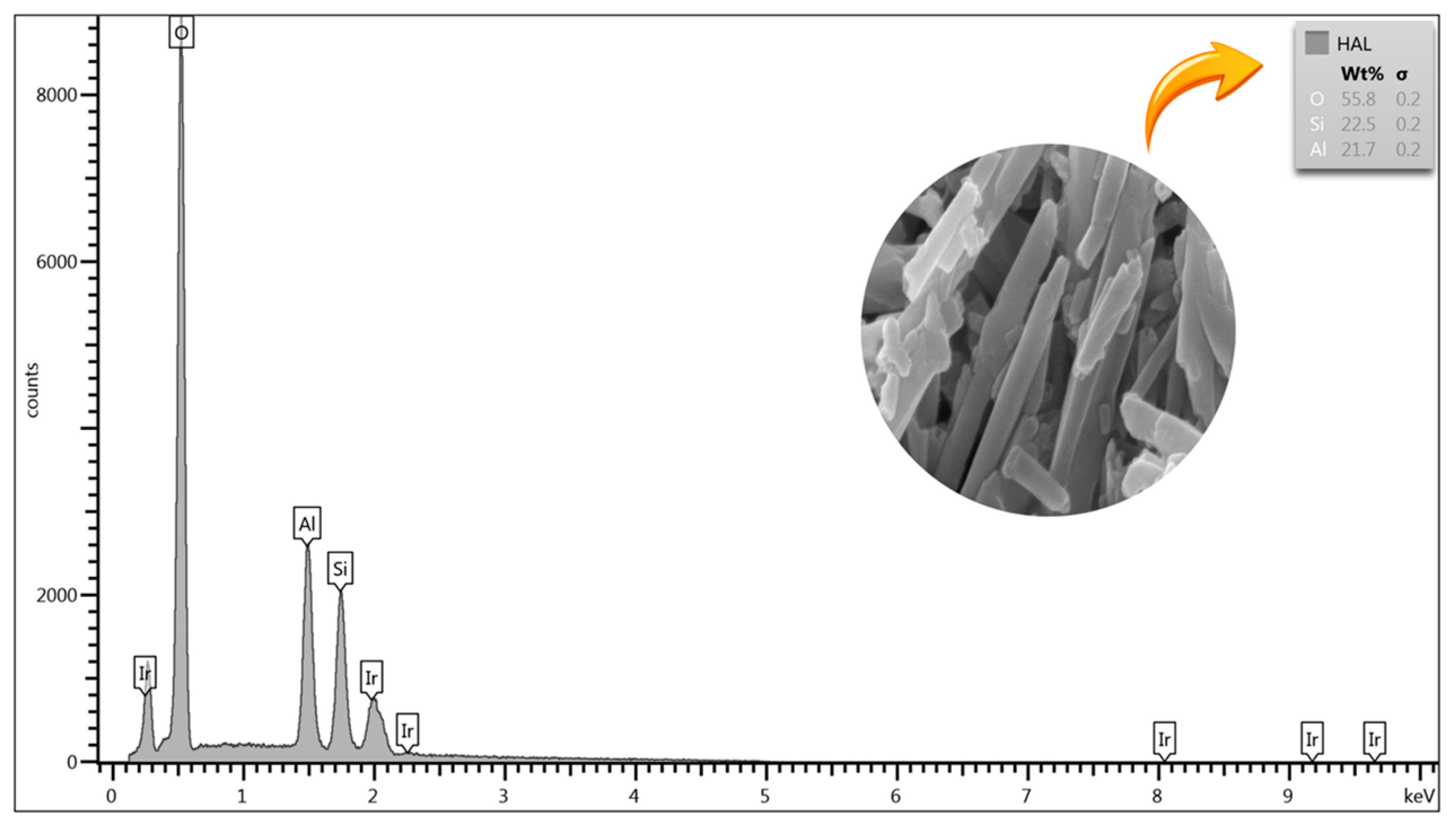Polymers 18 00554 g011 Polymers 18 00554 g011