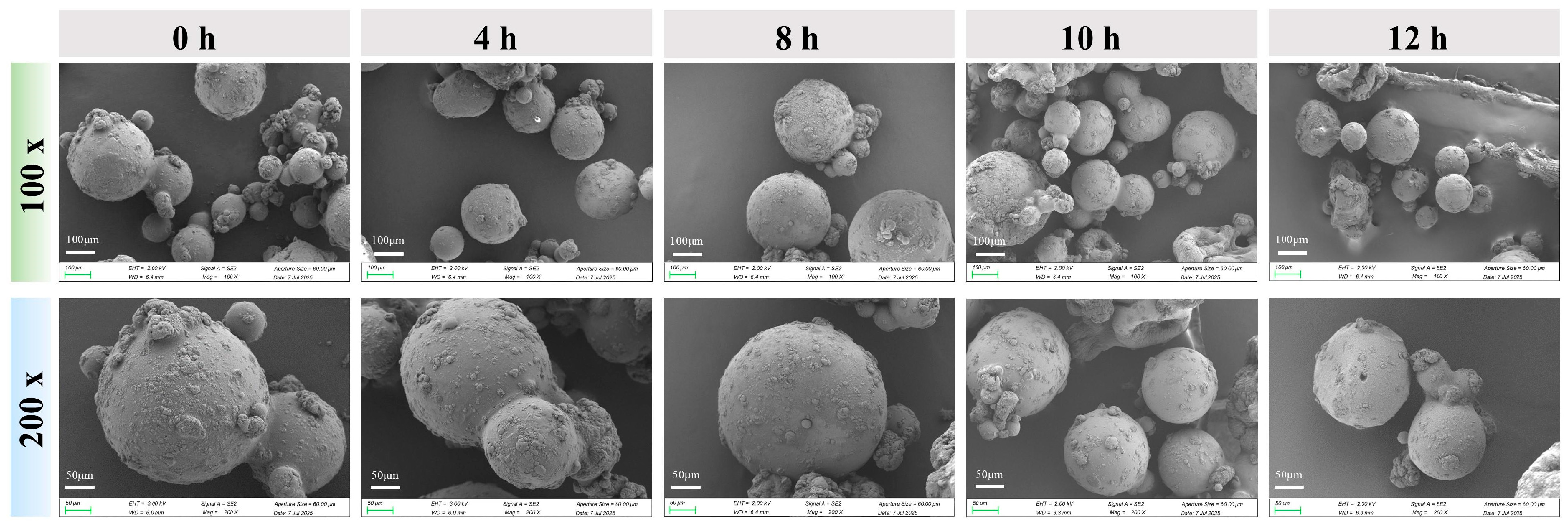 Polymers 18 00566 g002 Polymers 18 00566 g002