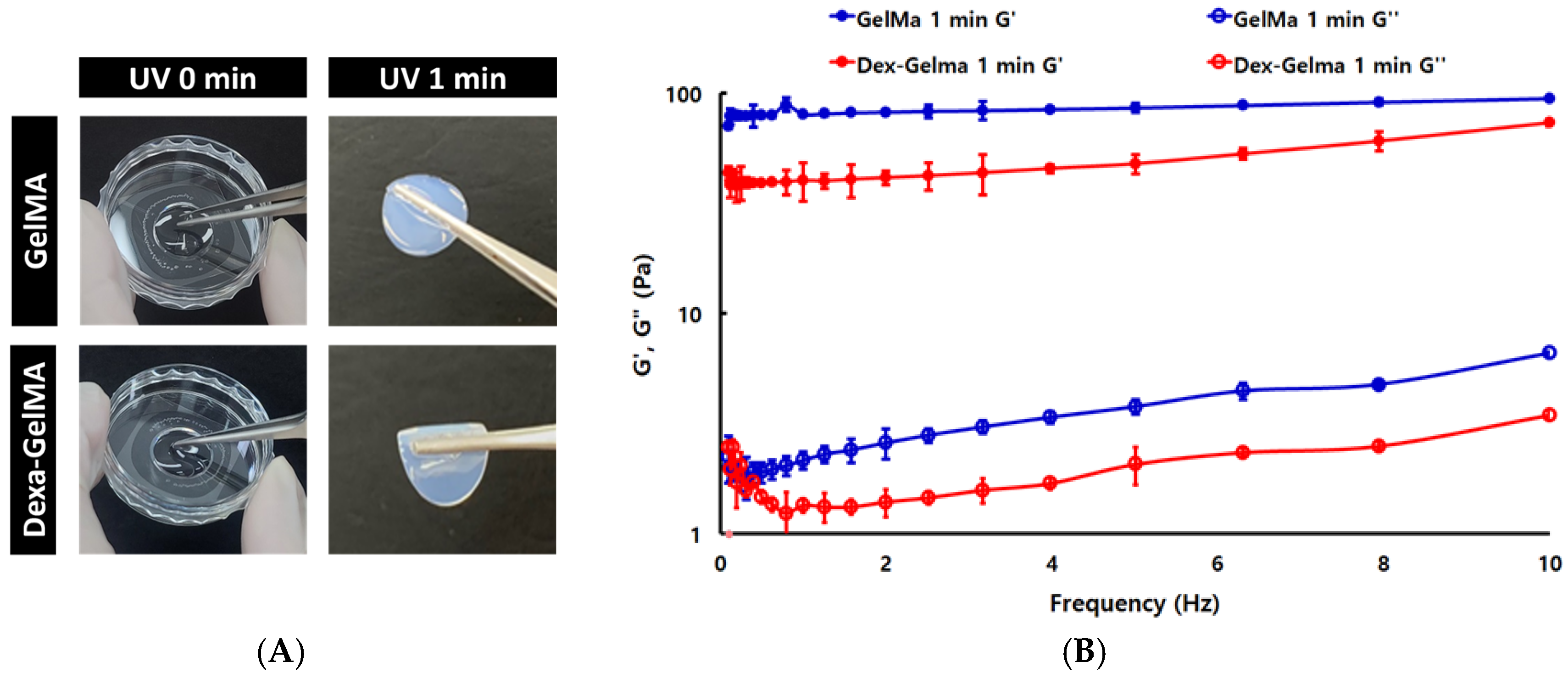 Polymers 18 00628 g002