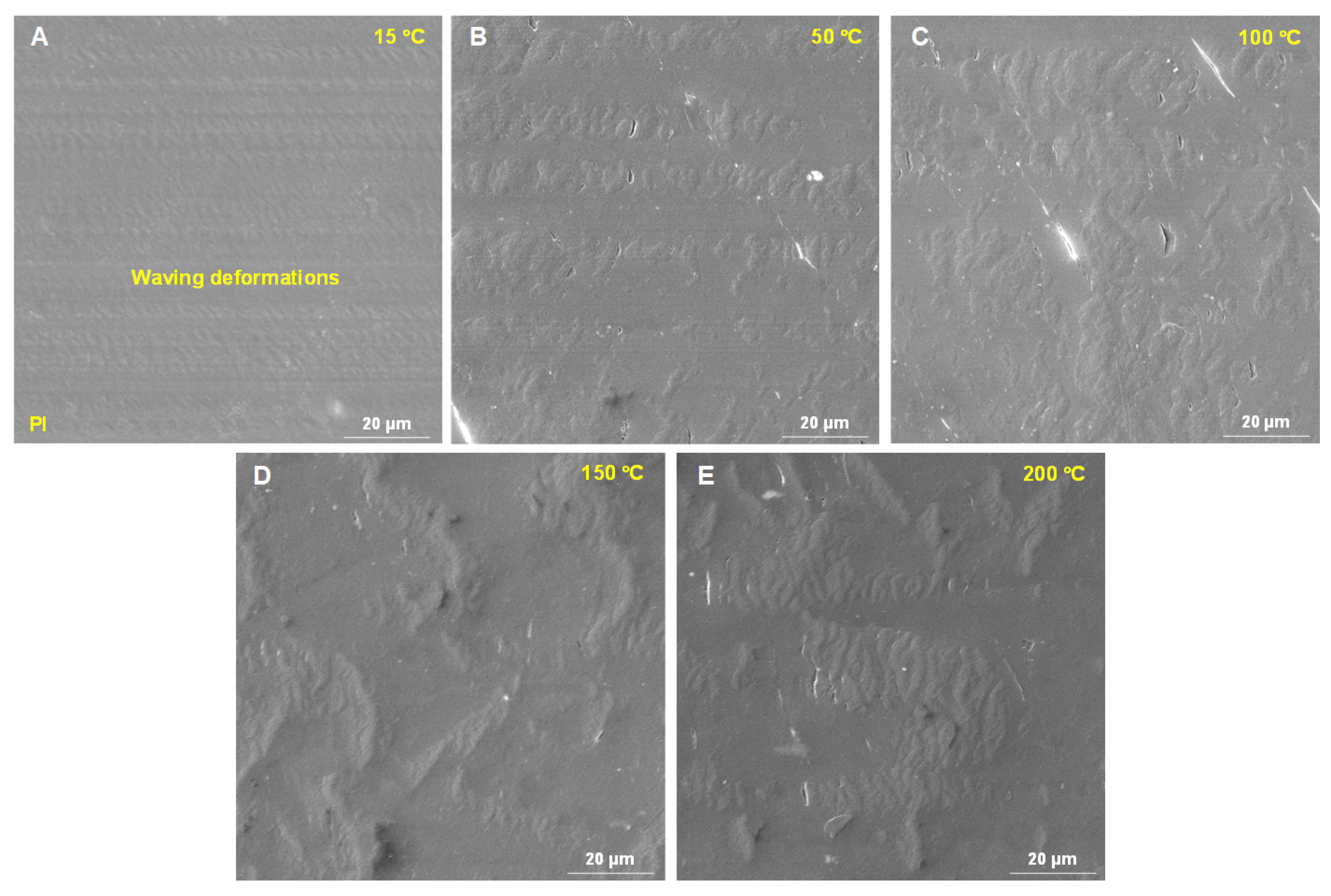 Polymers 18 00716 g006