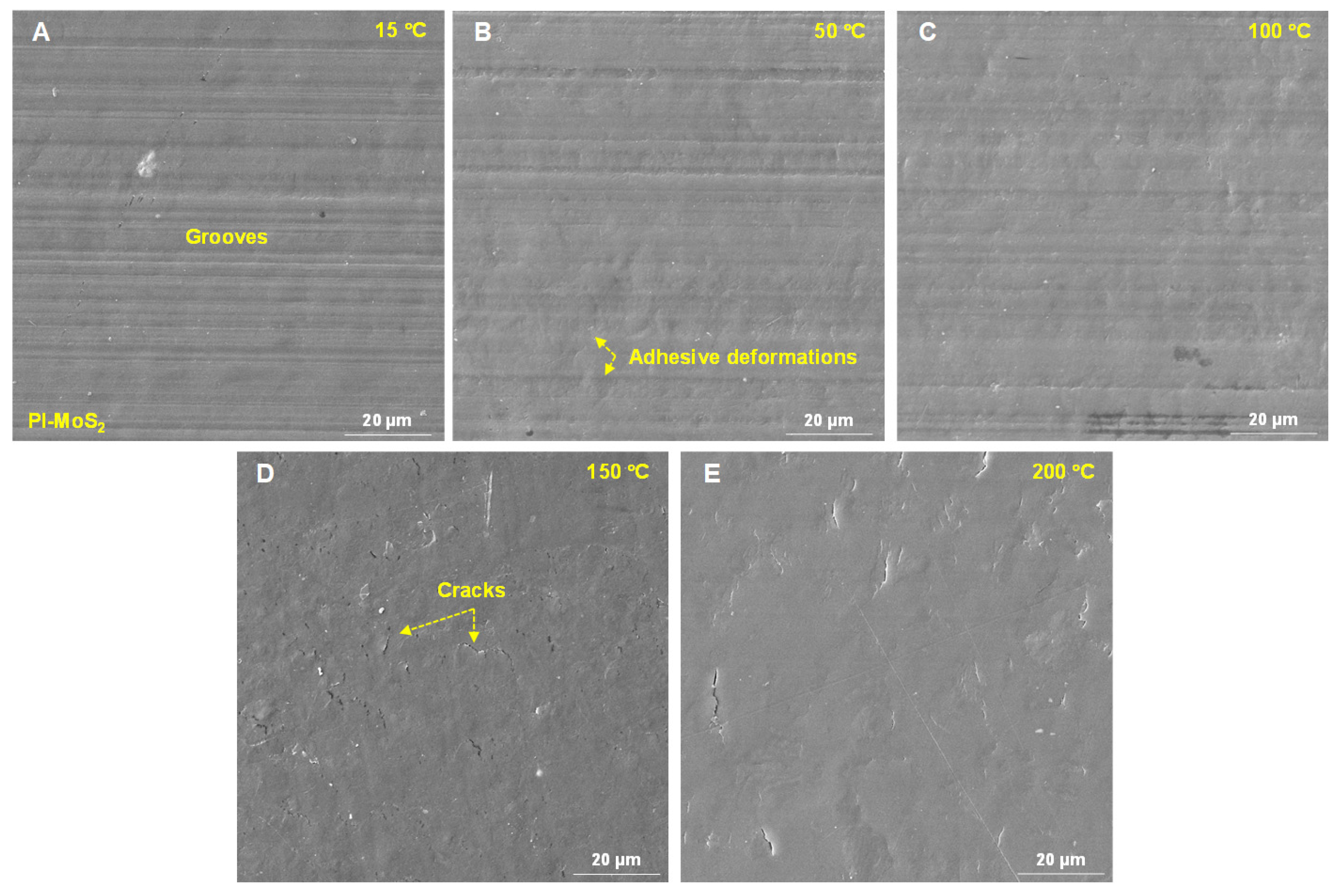 Polymers 18 00716 g007