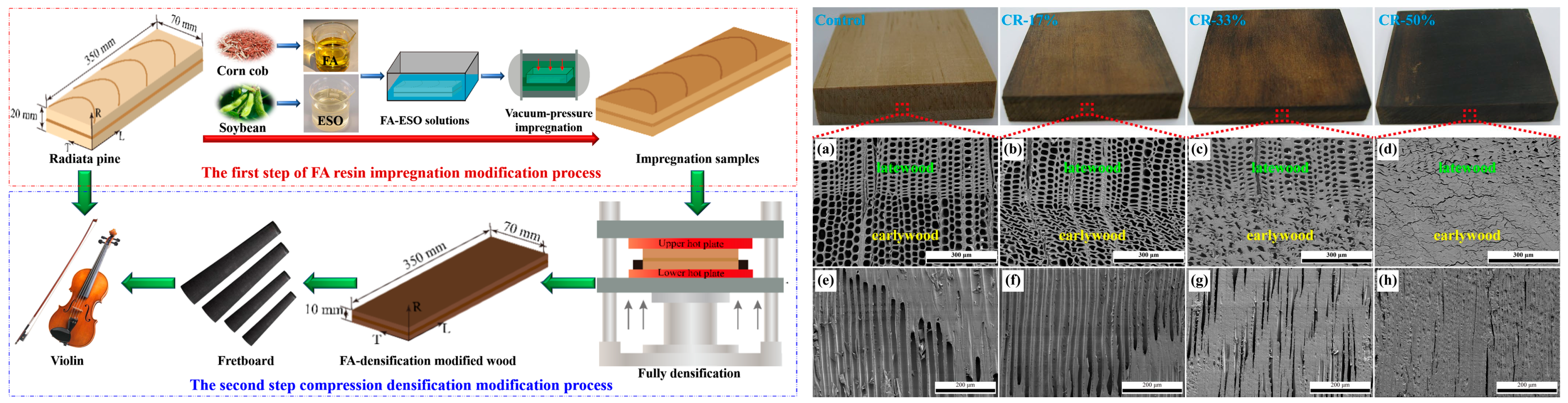 Protective and Modification Strategies for Instrument Wood: A Critical ...