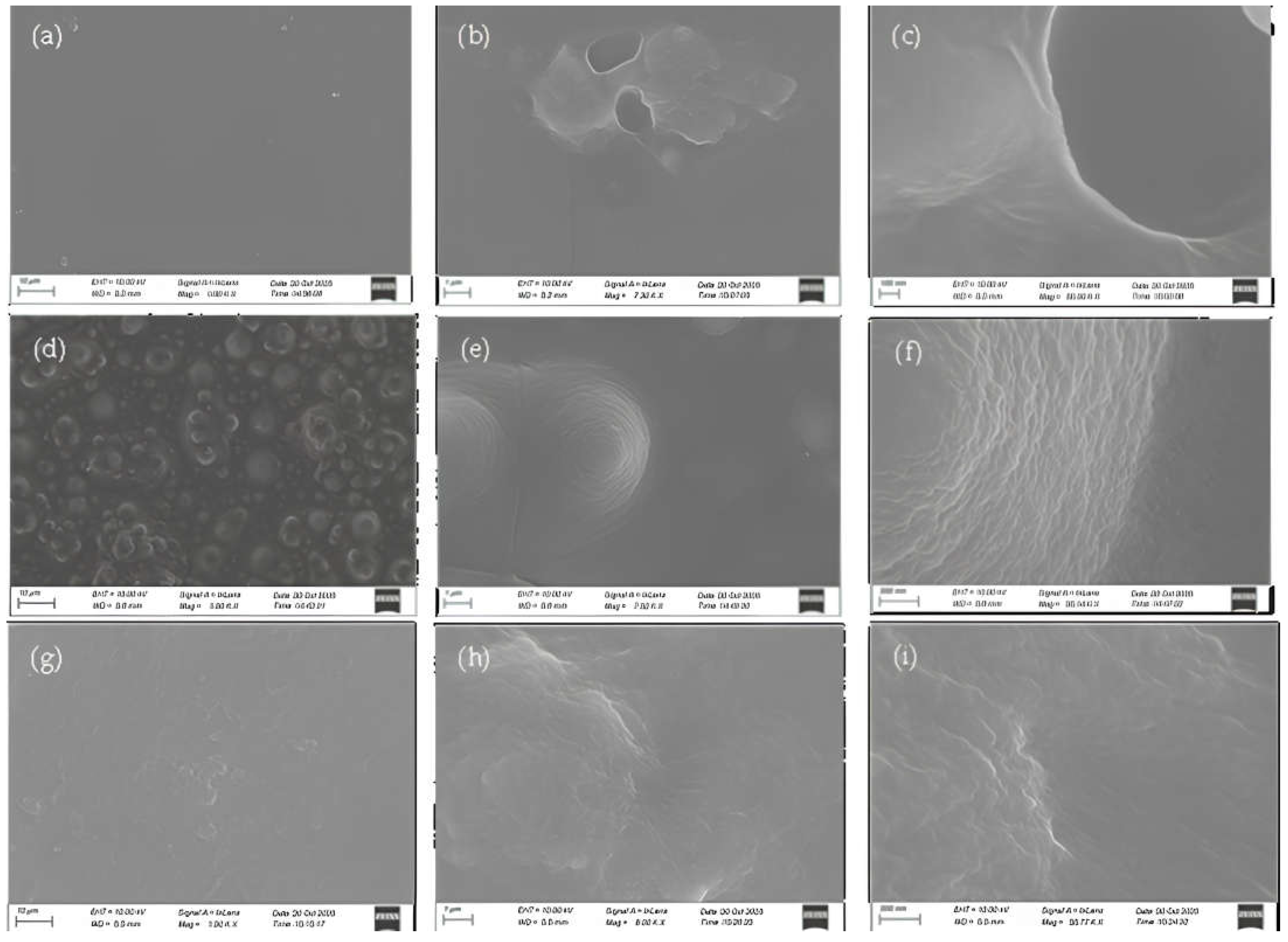 Polymers 18 00809 g006 Polymers 18 00809 g006