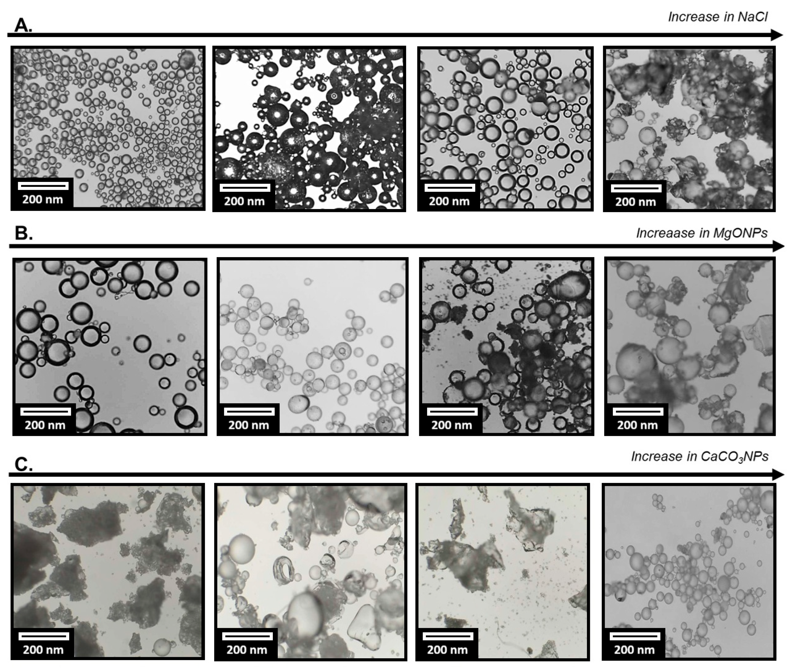 Polymers 18 00835 g008 Polymers 18 00835 g008
