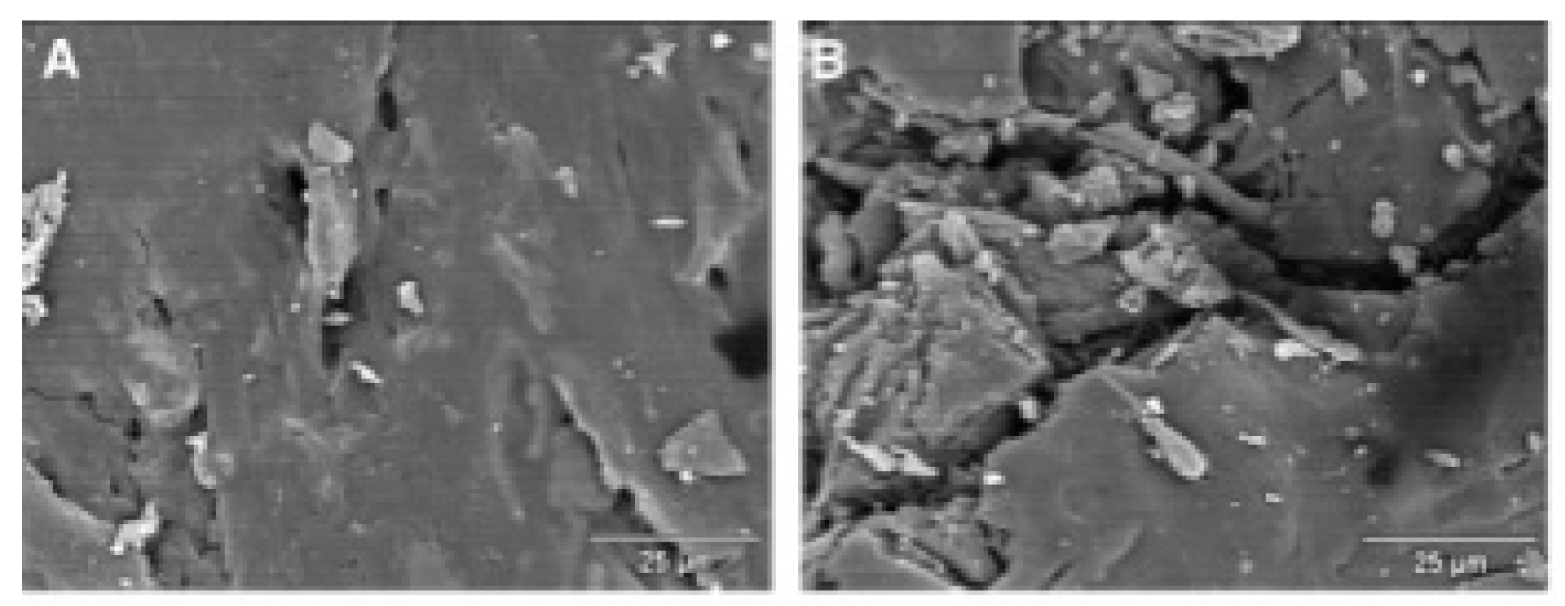 Polymers 18 01090 g005 Polymers 18 01090 g005