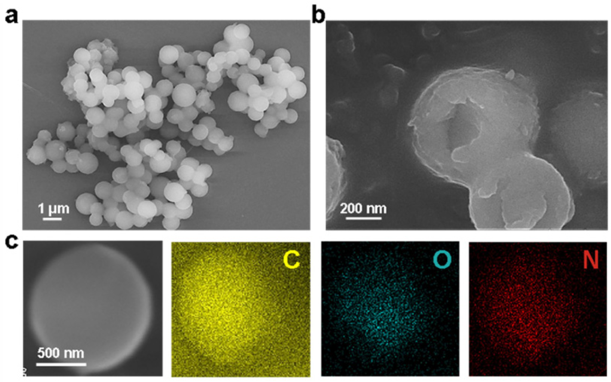 Polymers 18 01151 g004 Polymers 18 01151 g004