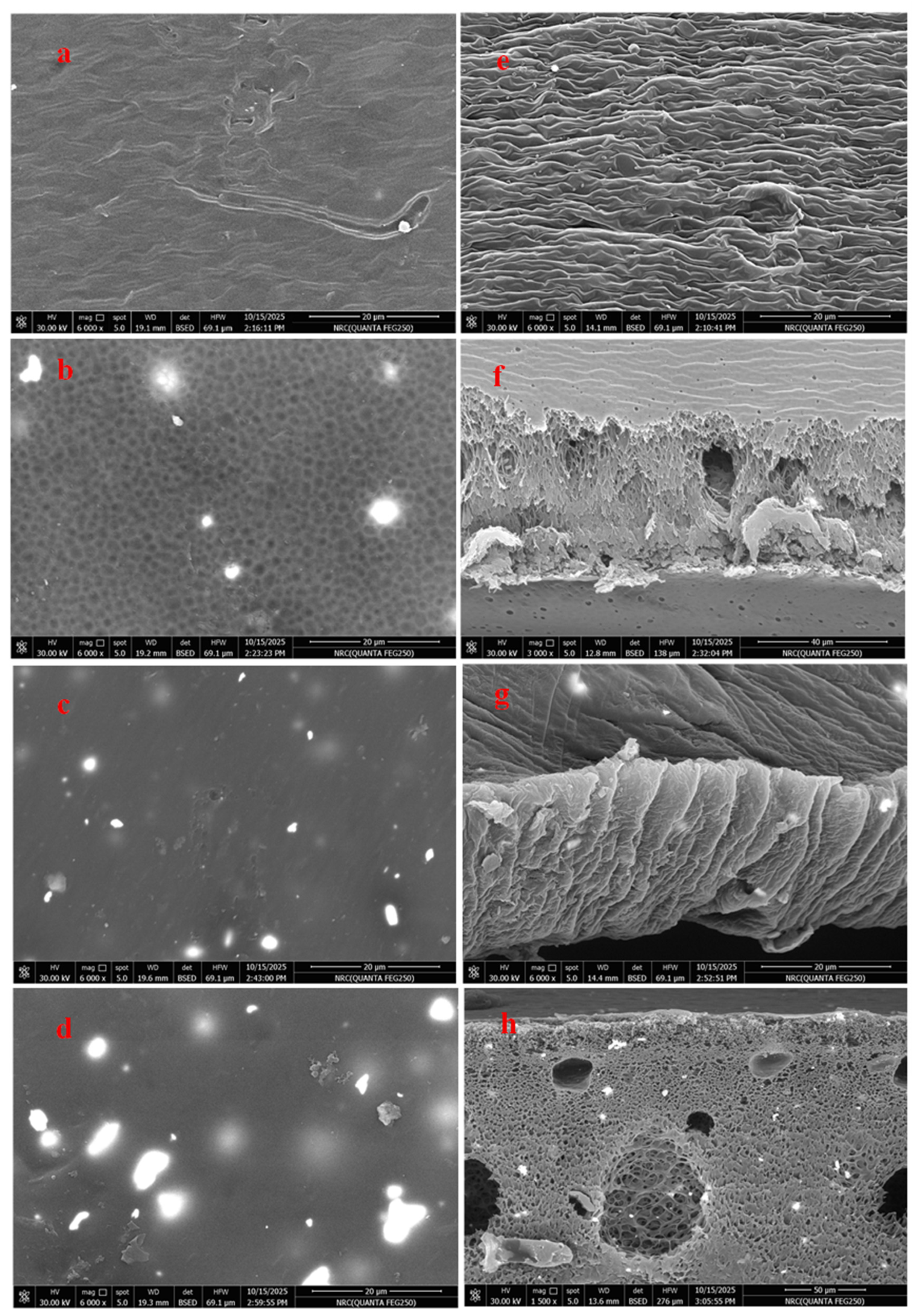 Polymers 18 01165 g002