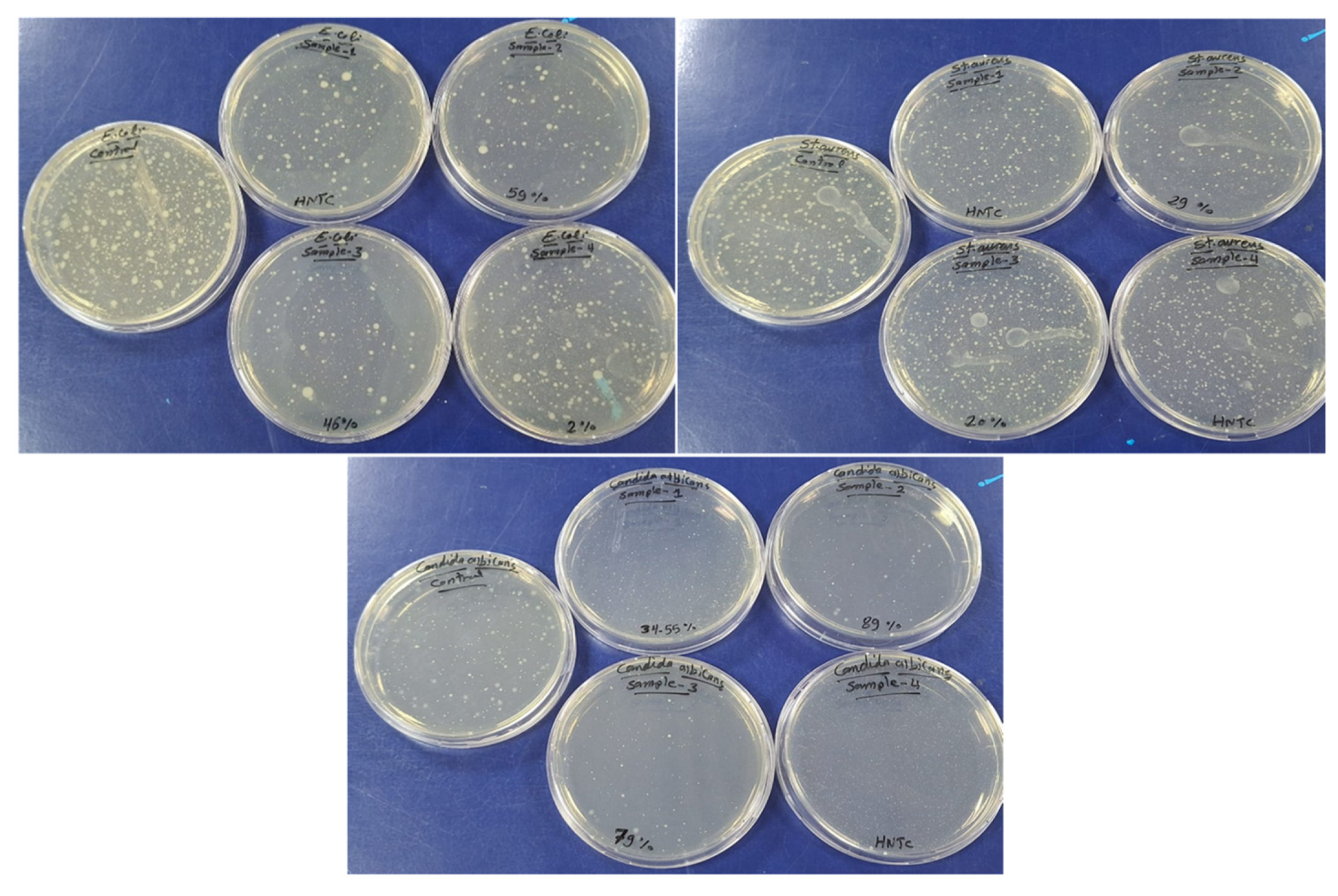 Polymers 18 01165 g010