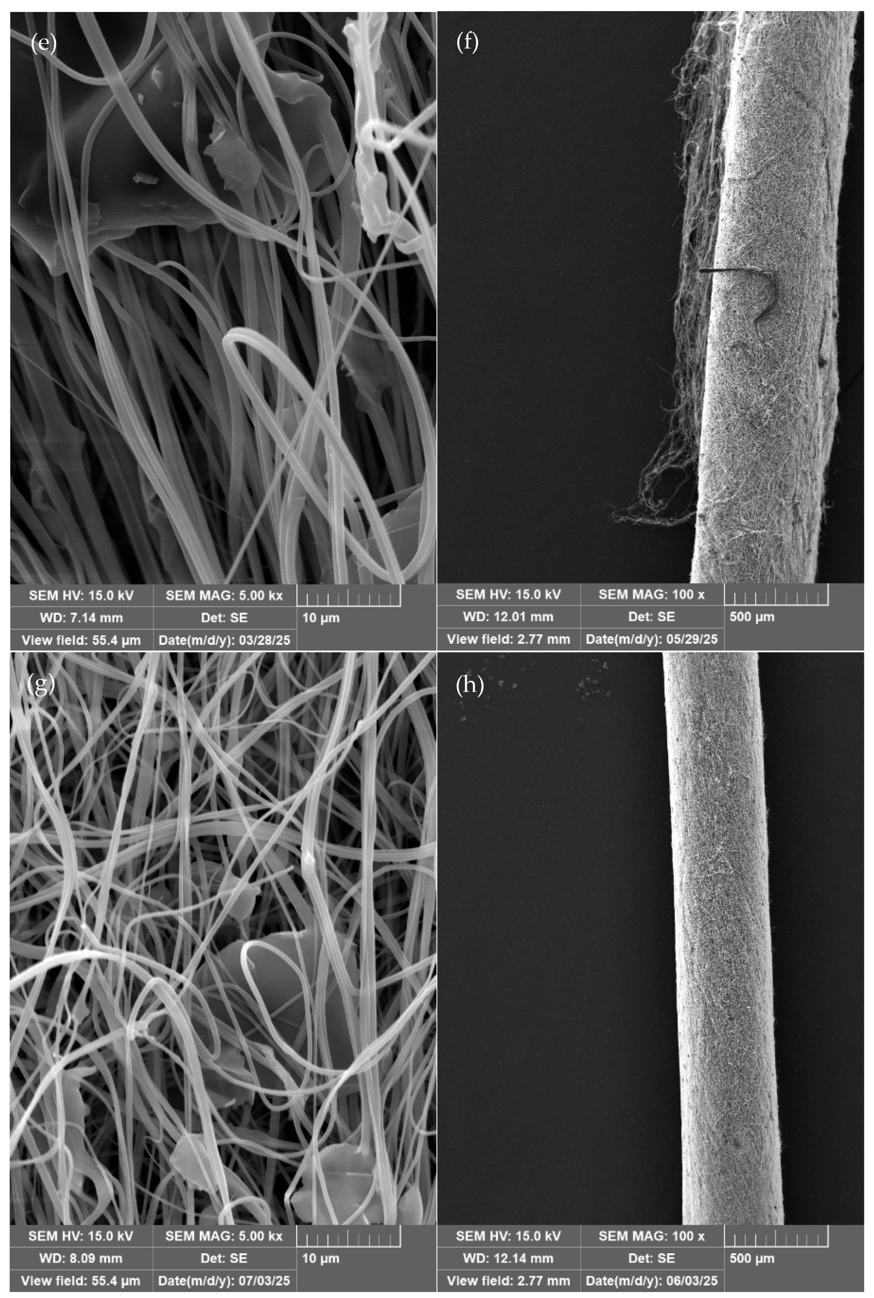 Polymers 18 01225 g003b Polymers 18 01225 g003b
