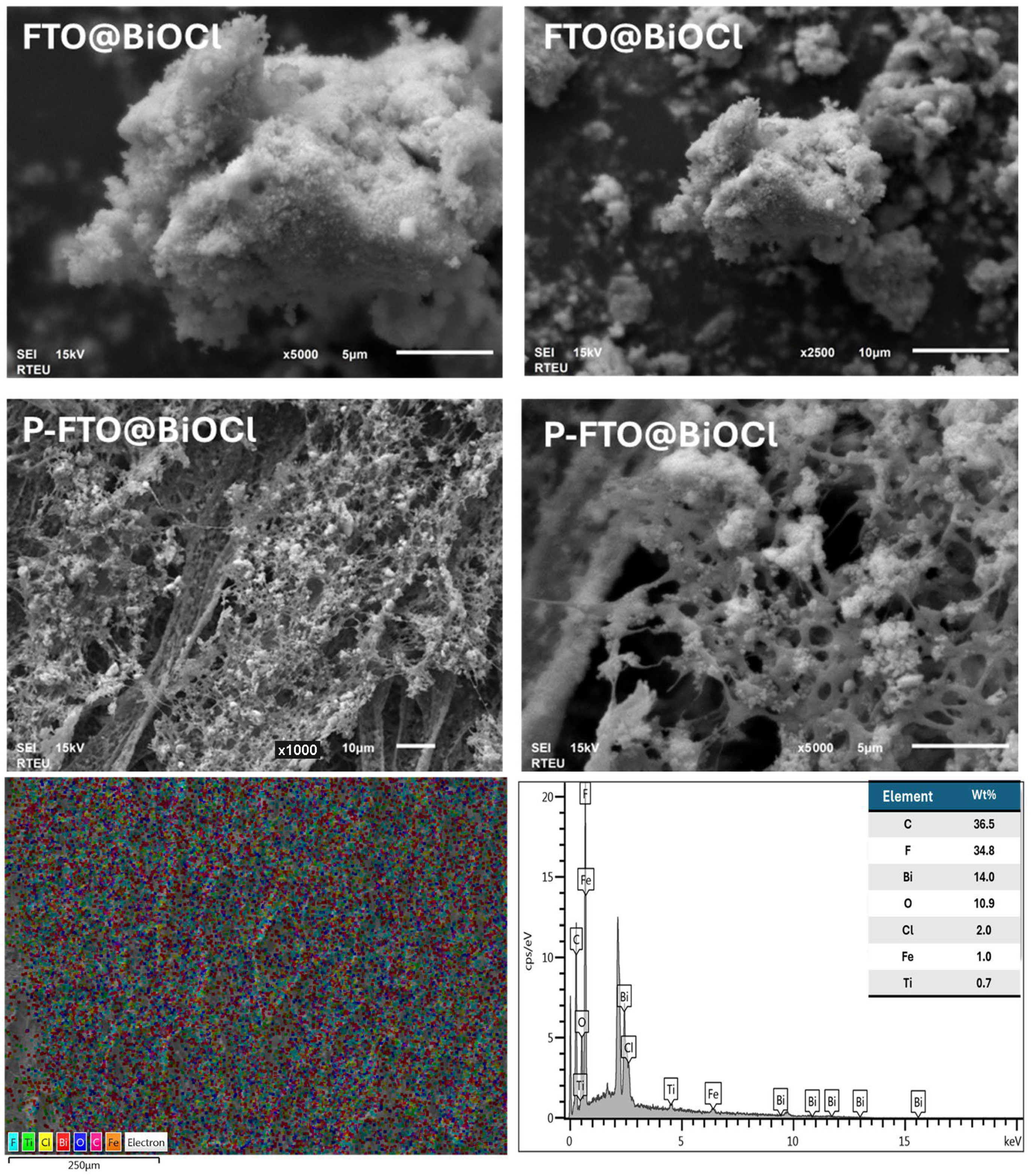 Polymers 18 01246 g006