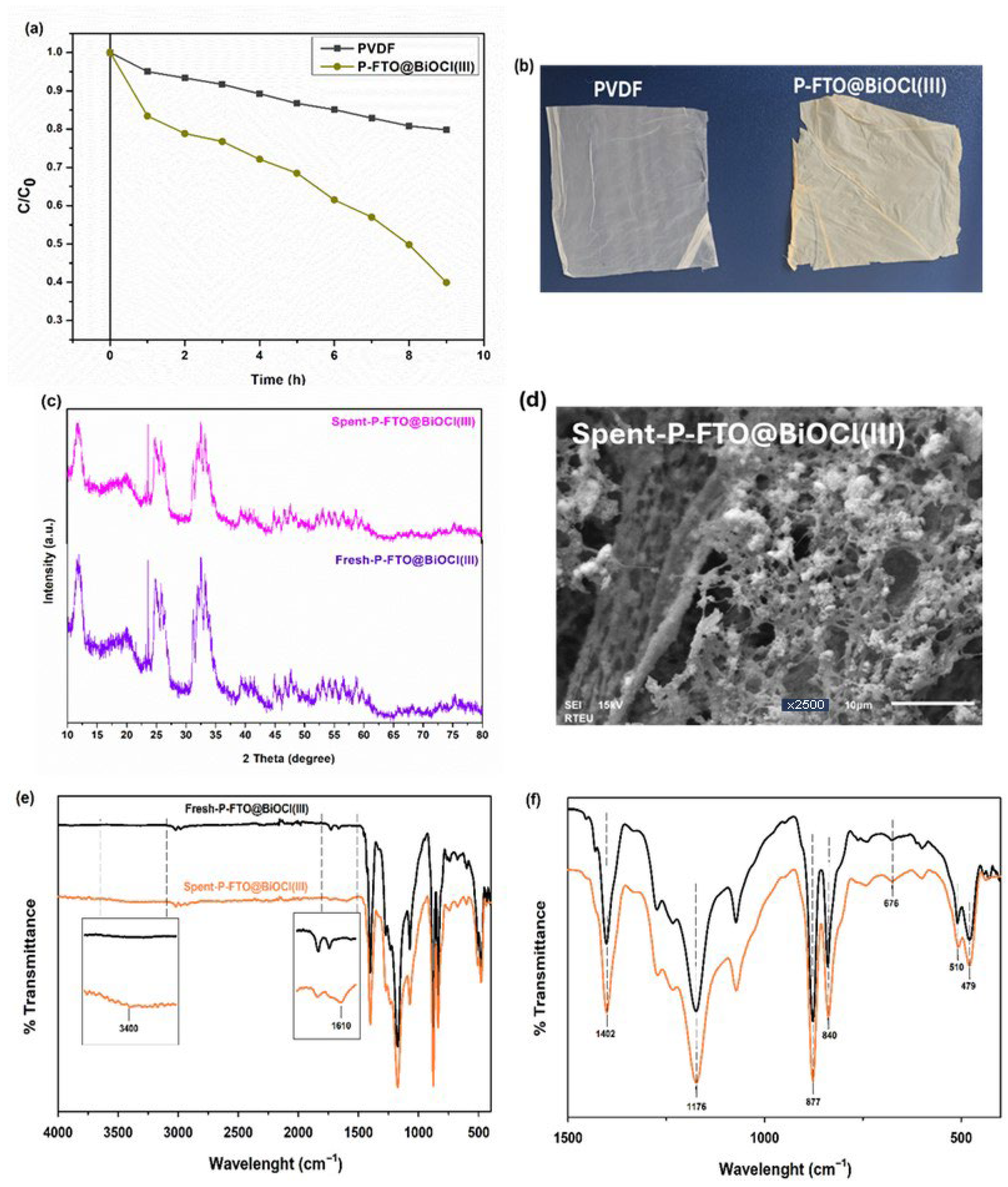Polymers 18 01246 g011