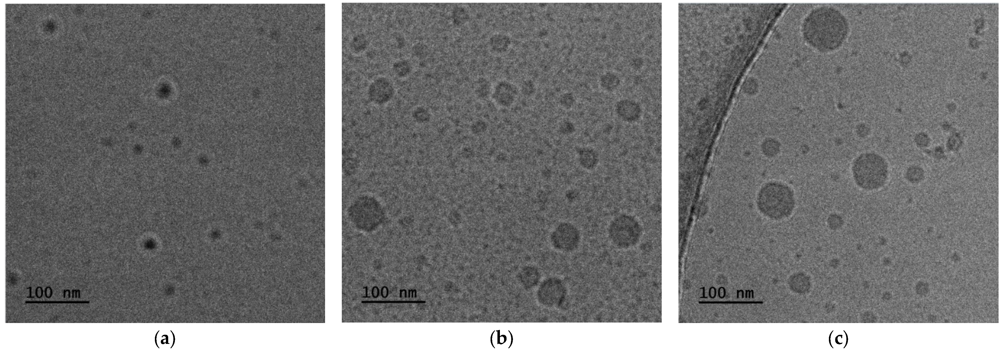 Polymers 18 01278 g008
