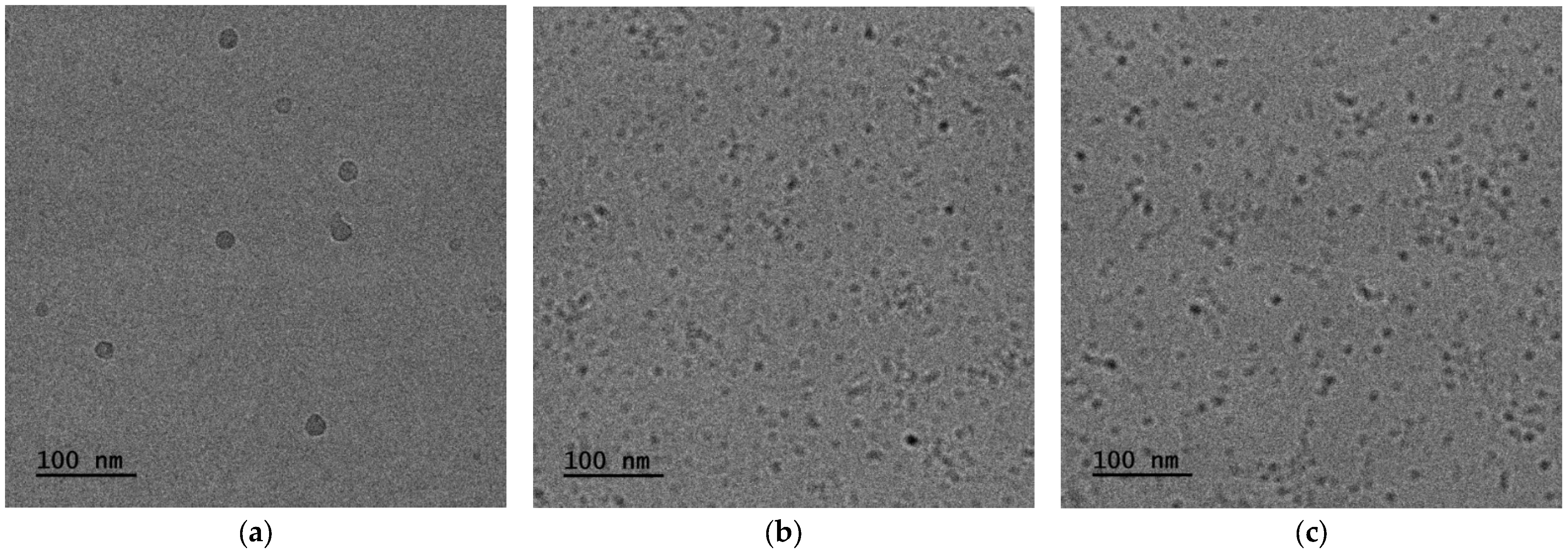 Polymers 18 01278 g009