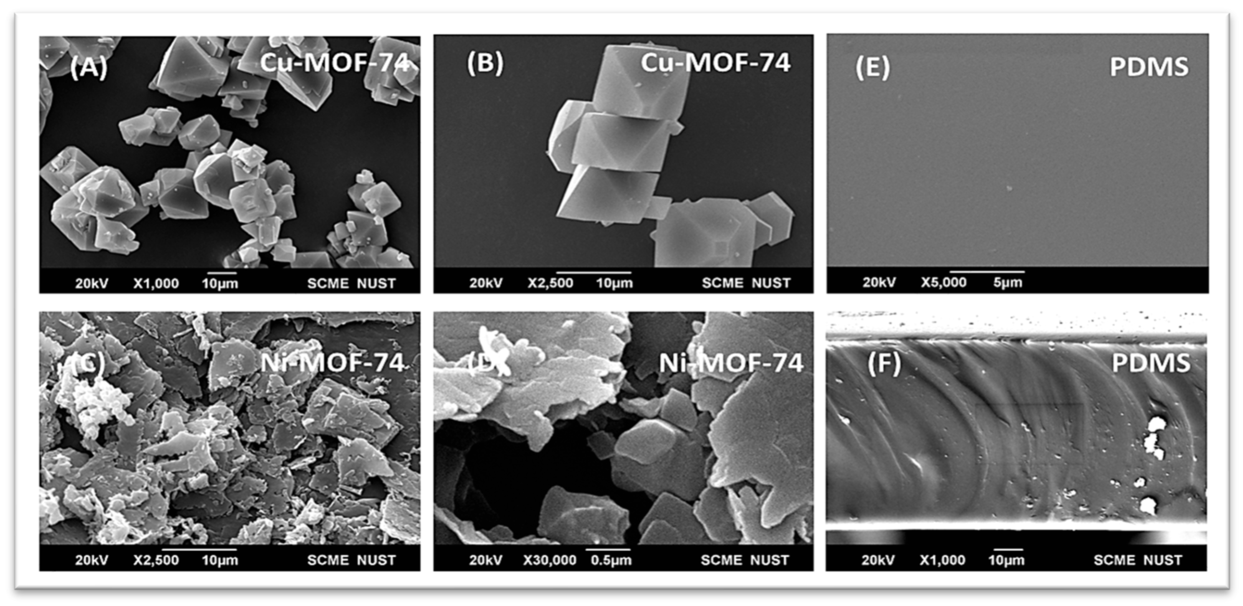 Polymers 18 01303 g008 Polymers 18 01303 g008